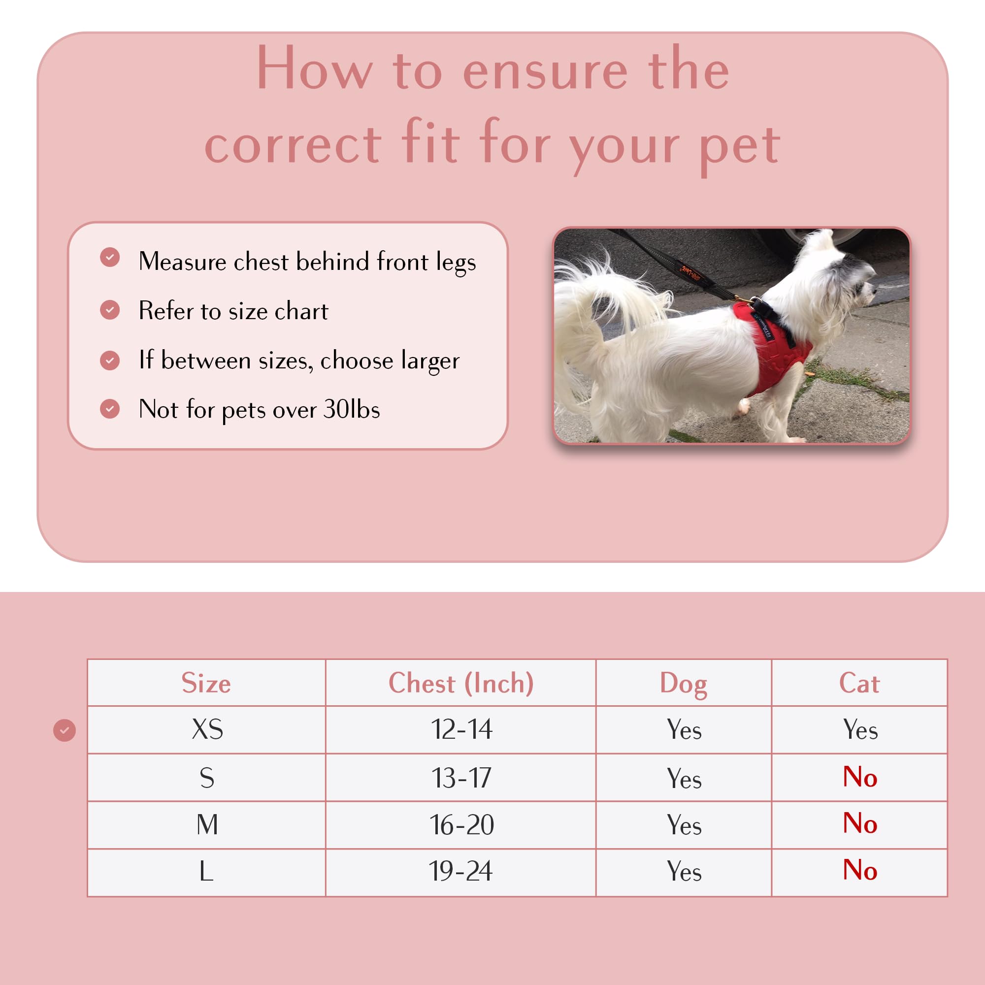 All Weather Reflective Step-in Dog Harness - Adjustable Soft Padded Vest for Small & Medium Dogs - Comfort Fit Easy Walk Harness for Daily Walks, Jogging & Outdoor Adventures