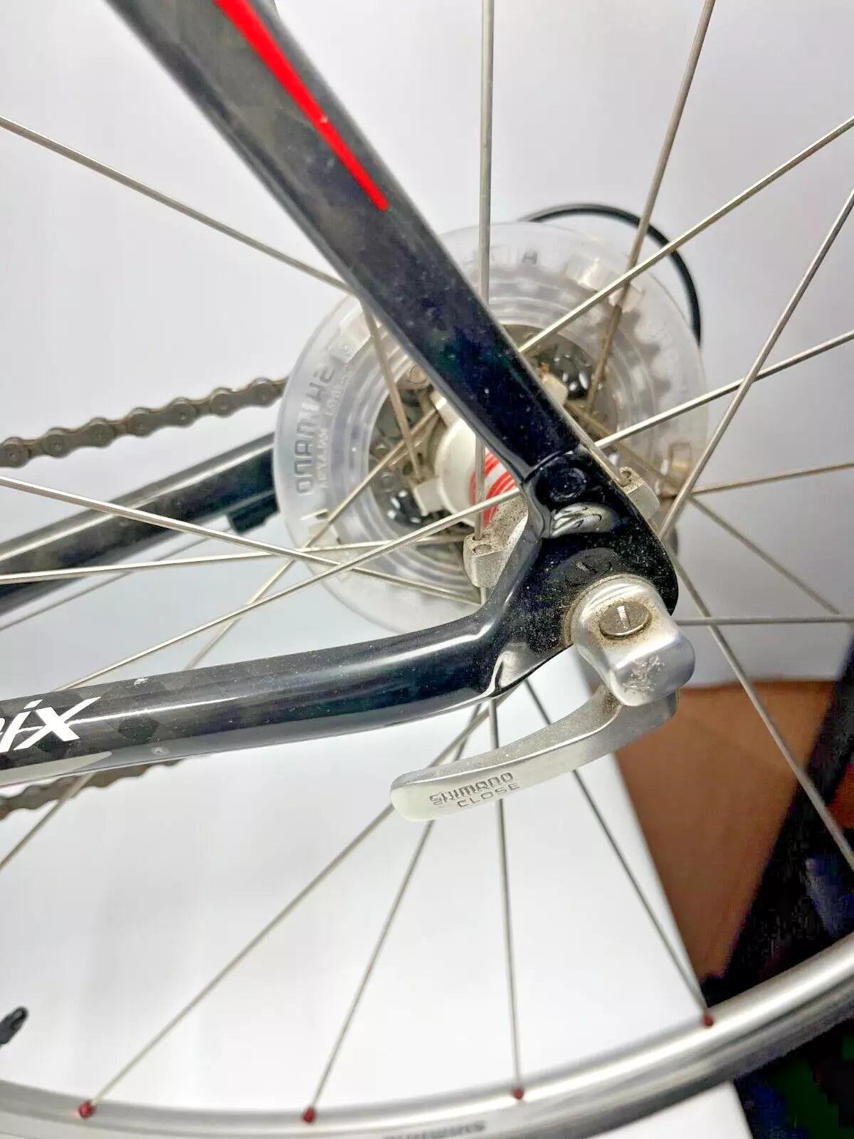Specialized Roubaix Comp Carbon Road Bike - XXL Size for Tall Riders - Endurance Racing & Long-Distance Cycling