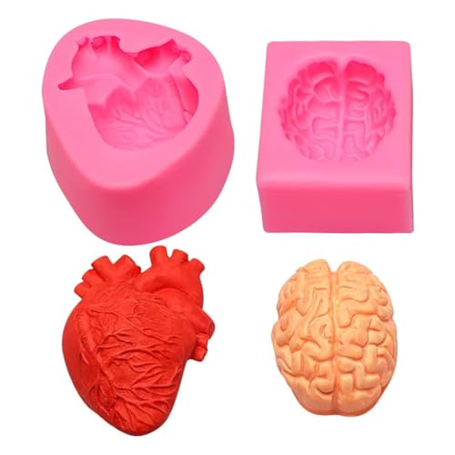 brain-heart