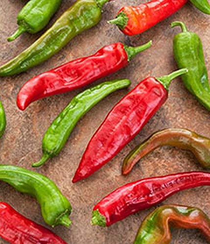 Sandia Pepper Seeds - Hot New Mexico Long Green Chili Pepper (50 Seeds) - Perfect for Home Gardening, Cooking & Spicy Recipes