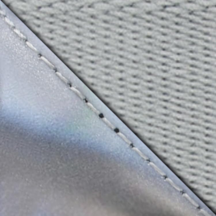 Light Gray