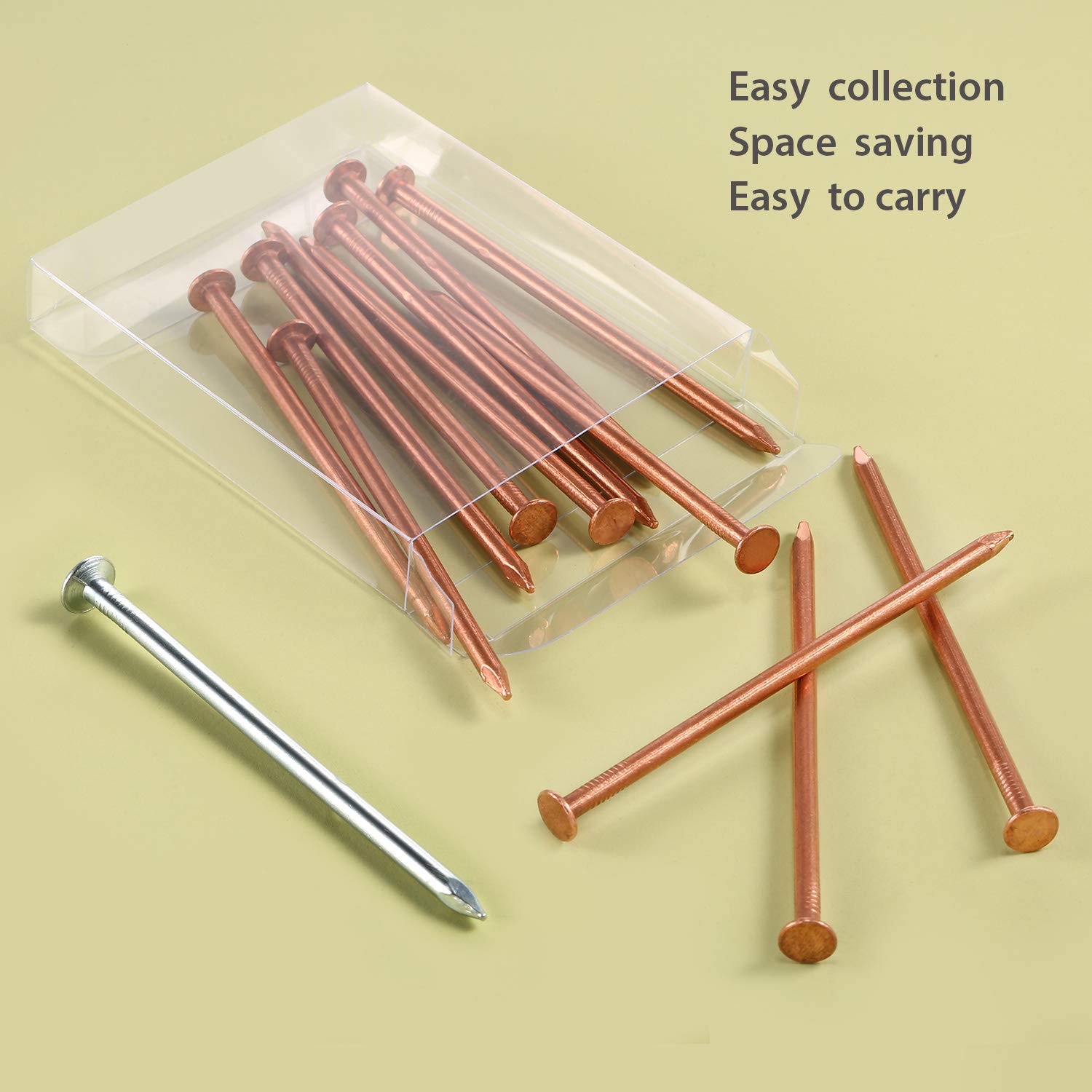 12 Pack 4 Inch (100mm) Long Copper Nails for Tree Killing & Stump Removal - Includes 1 Steel Nail & Storage Box - Ideal for Arborists, Gardeners, and DIY Tree Removal Projects