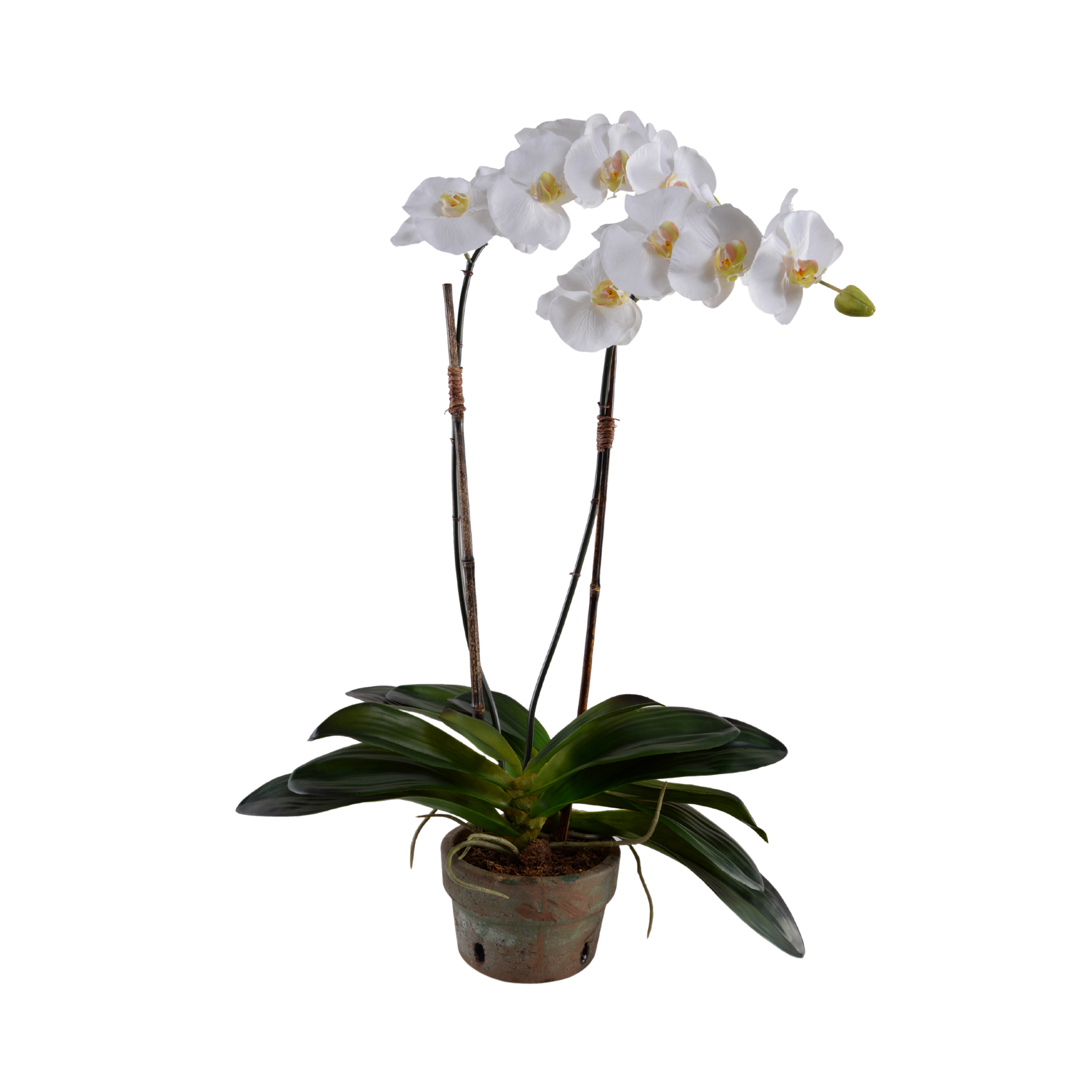 2 Pack Artificial White Phalaenopsis Orchid Flowers in Terracotta Pot - Perfect for Home Decor, Wedding Centerpieces, and Office Desk Decorations