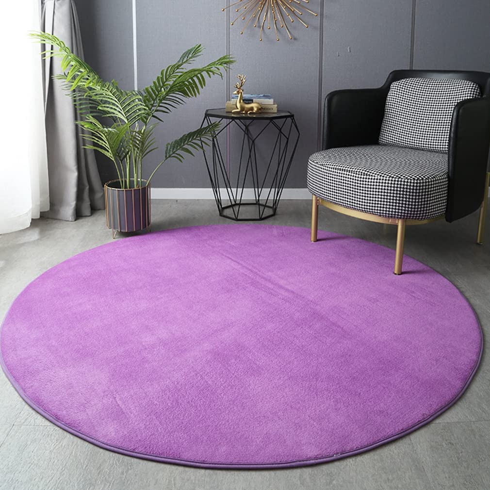 Ultra Soft Round Area Rugs 3.9' x 3.9' - Non-Slip Coral Fleece Carpet for Living Room, Bedroom & Bathroom - Modern Home Decor Indoor Outdoor Rug in Purple - Perfect for Cozy Spaces, Yoga Mats and Pet Areas