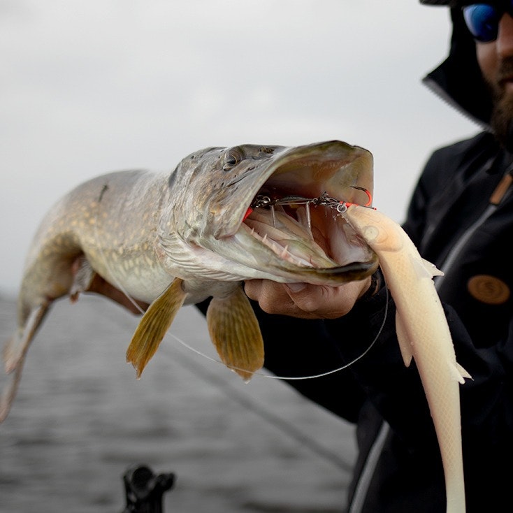 BKK BB Trigger 21 Fishing Rod - High Performance Casting Rod for Bass, Walleye & Freshwater Fishing | Perfect for Shore Fishing & Boat Angling