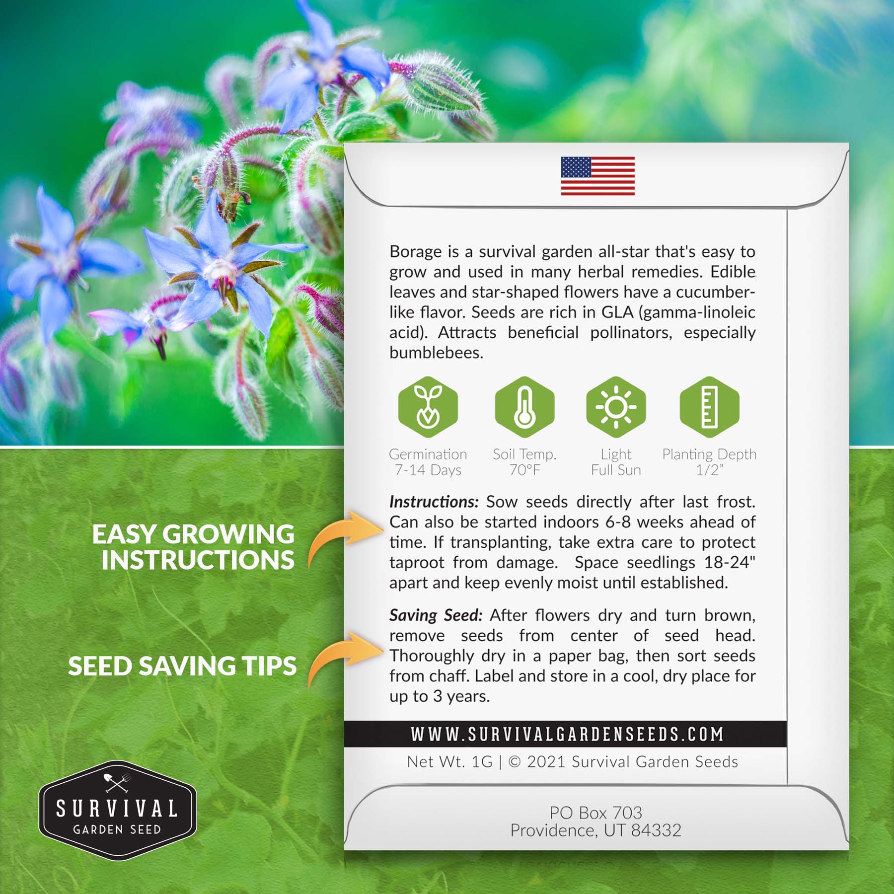 Organic Borage Seeds for Planting - Non-GMO, Heirloom Herb Seeds for Garden, Kitchen & Medicinal Use - Perfect for Teas, Salads, and Pollinator Gardens