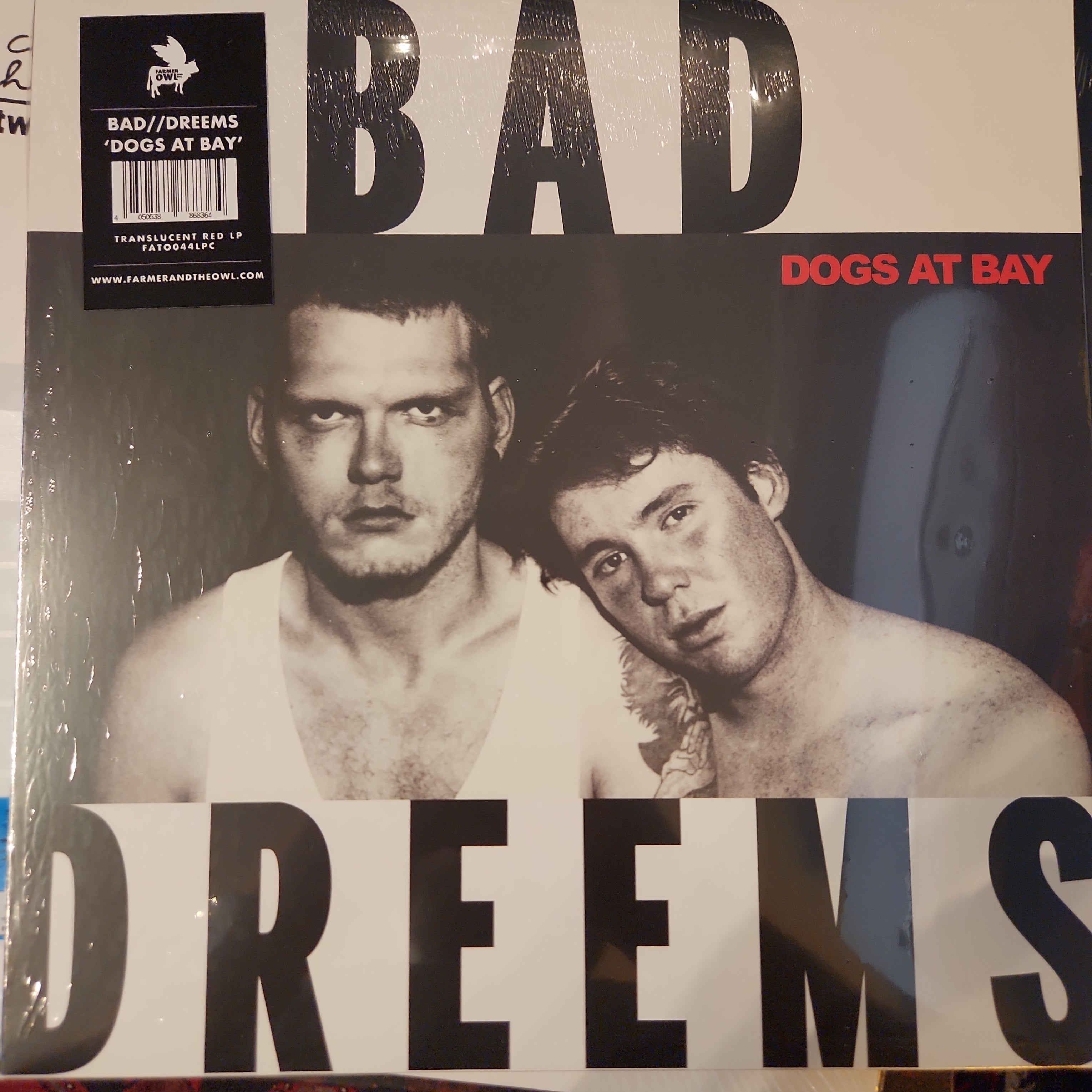 Bad Dreems Dogs at Bay Vinyl LP Record | Alternative Rock Music for Home Listening & Collectors