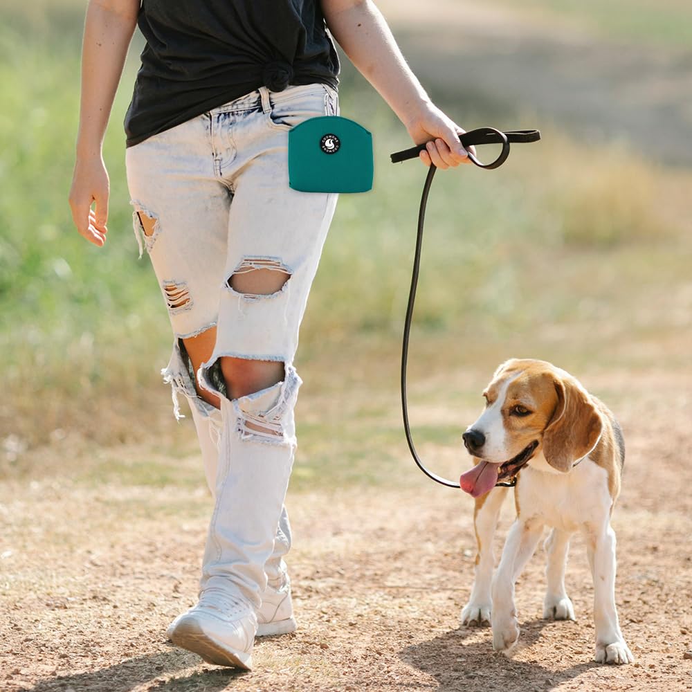 COOWONE Magnetic Dog Treat Pouch - Small Training Treat Bag with Clip, Hands-Free Pocket-Sized for Dog Walking & Obedience Training (Green) - Perfect for Pet Owners, Dog Walkers & Trainers