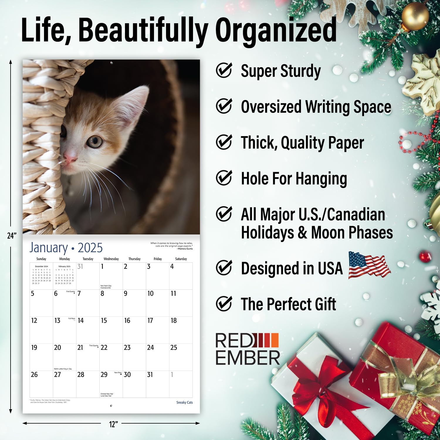 RED EMBER Sneaky Cats 2025 Wall Calendar - 12 Month Large 12
