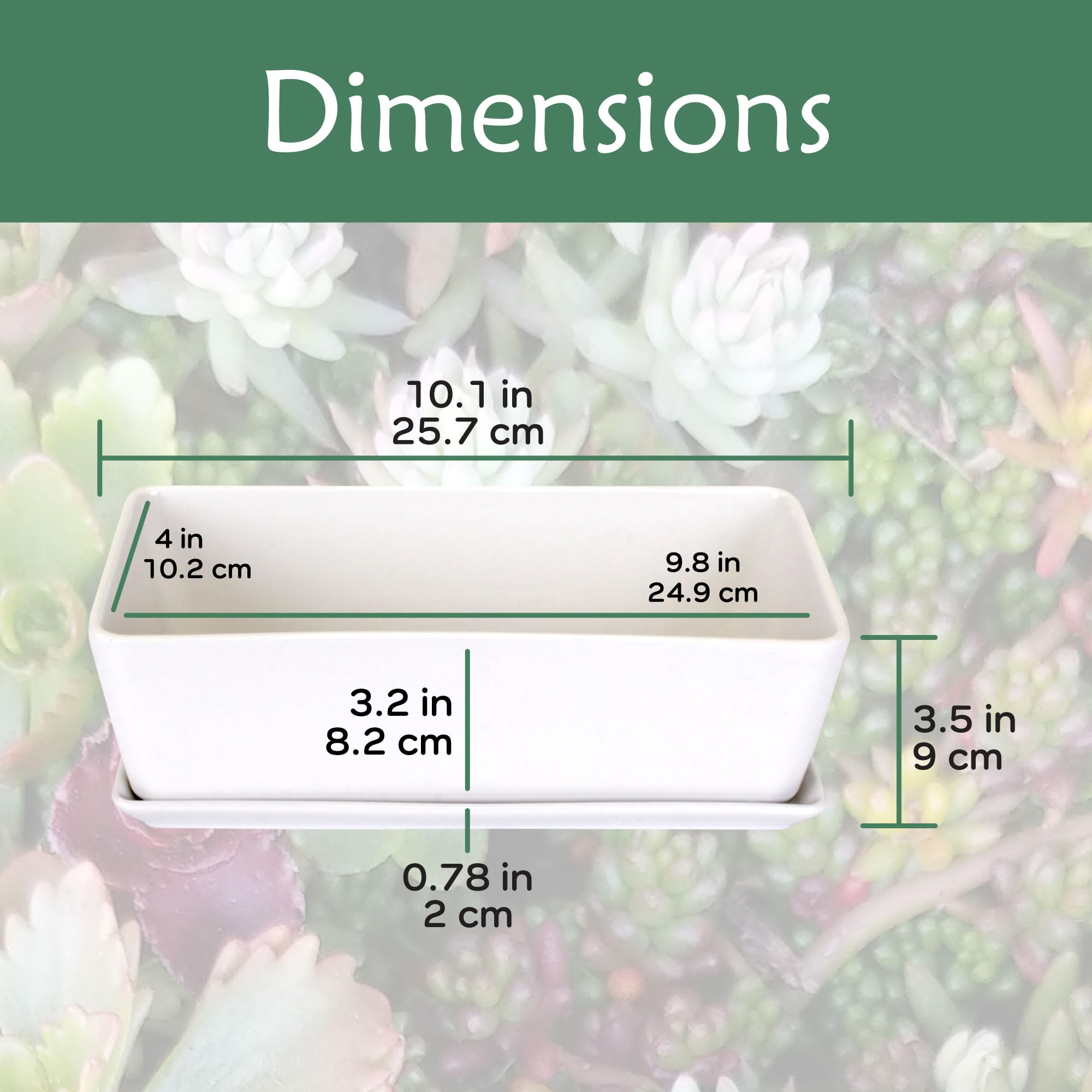 BambooMN White Ceramic Succulent Planter Pot with Drainage Tray - 10.1 Inch Short Rectangle Flower Pot for Indoor Plants, Home Decor, Office Desk, and Garden Succulents