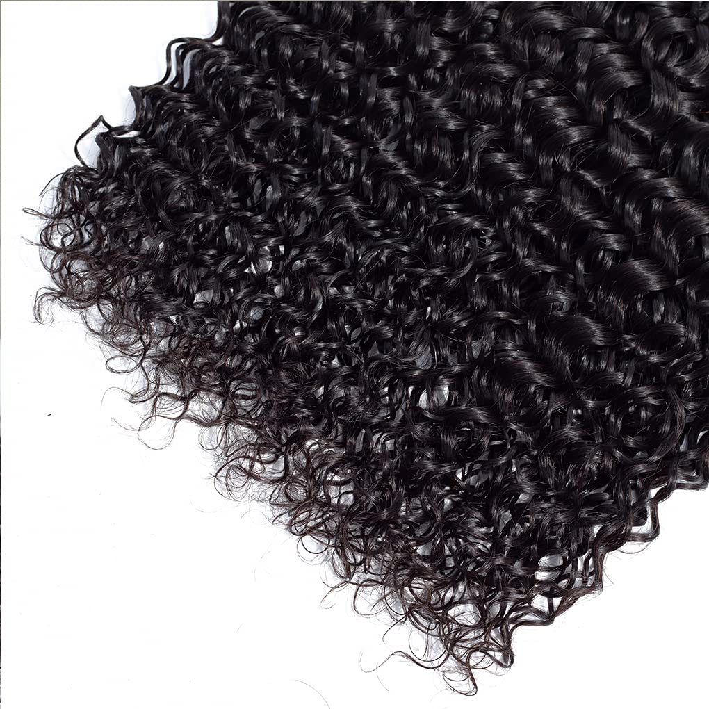 100% Brazilian Virgin Human Hair Extensions 10A Grade - 20 Inch Water Wave Wet & Wavy Curly Bundles (100g/Bundle) Unprocessed Natural Black Hair for Women | Perfect for Daily Wear, Parties & Special Occasions
