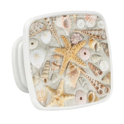 Sea Shell Starfish