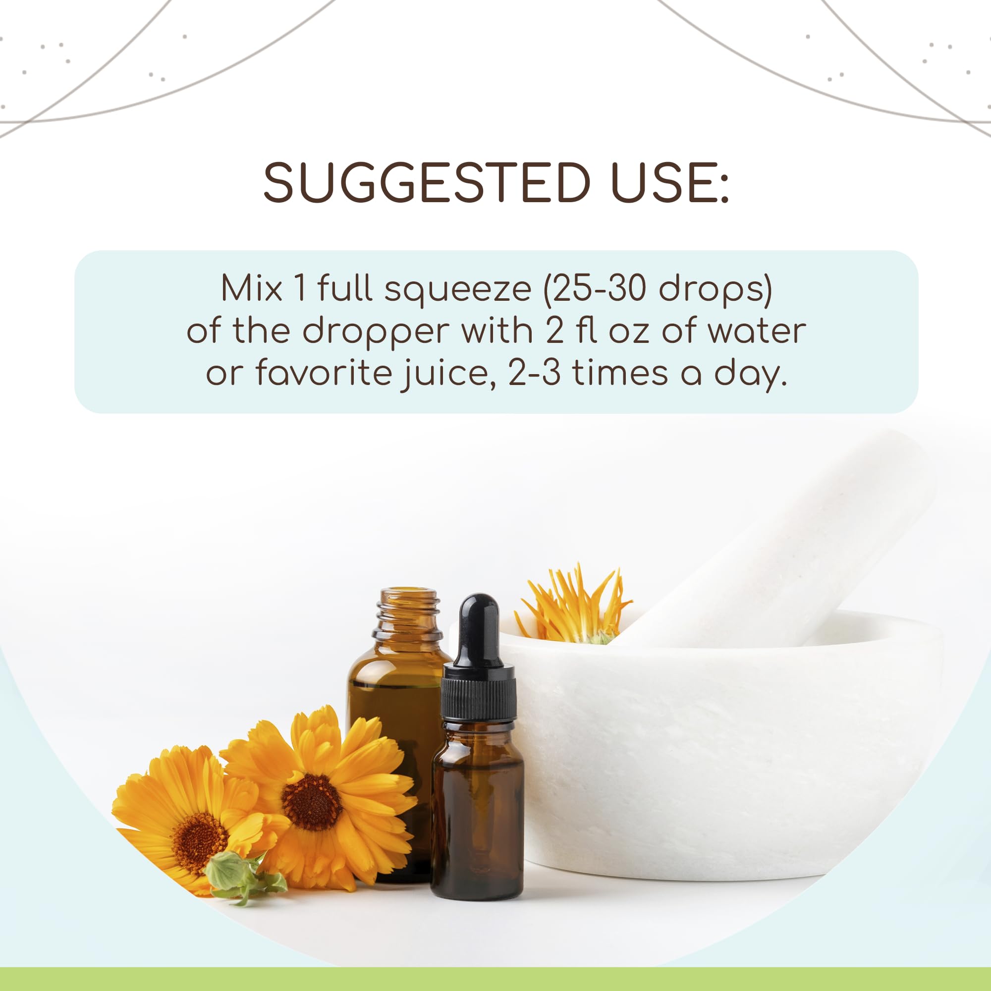 Organic Breast Support B60 Alcohol-Free Herbal Extract Tincture - Burdock Root, Chamomile Flower & Ginger Root for Women's Wellness | Natural Breast Health Supplement | 2 Fl Oz Bottle | Perfect for Daily Wellness Routine & Holistic Self-Care