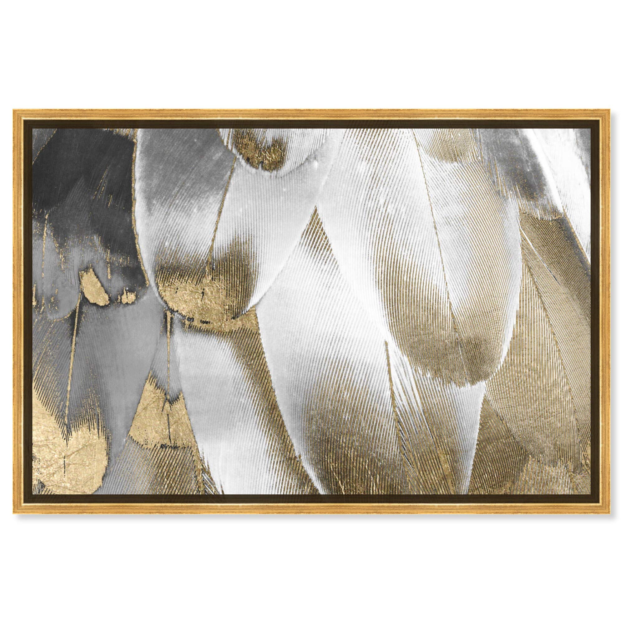 Royal Feathers Framed Wall Art Canvas Print - 36