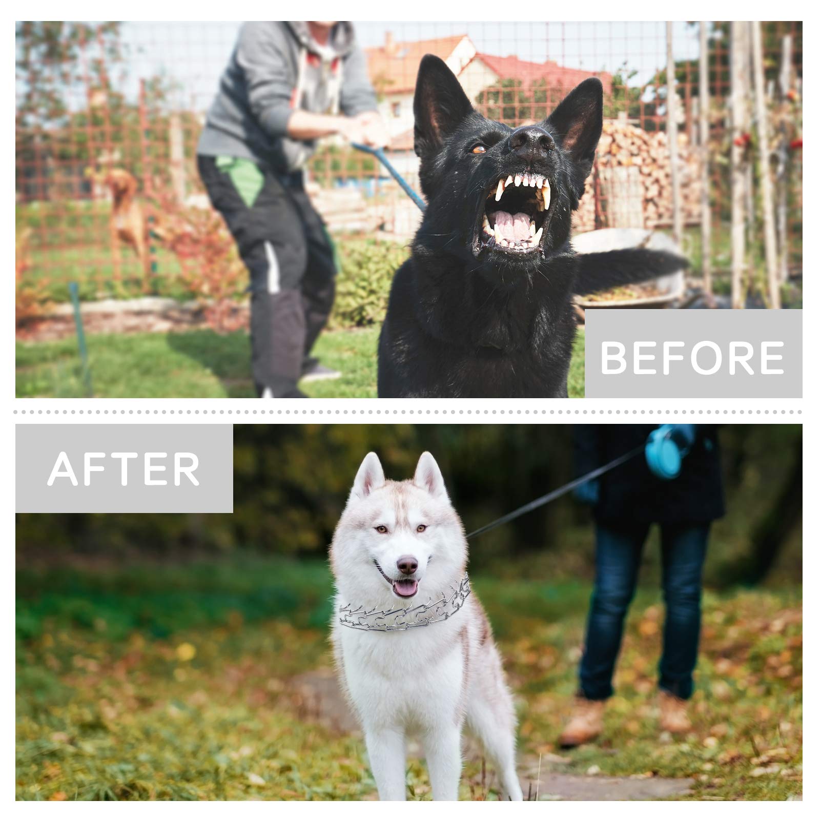 Ultra-Plus Chrome Plated Dog Prong Collar - Adjustable Quick Release Training Collar for Small, Medium & Large Dogs - Silver Plated Pinch Collar for Obedience Training & Behavior Correction | Perfect for Walks, Grooming & Outdoor Activities