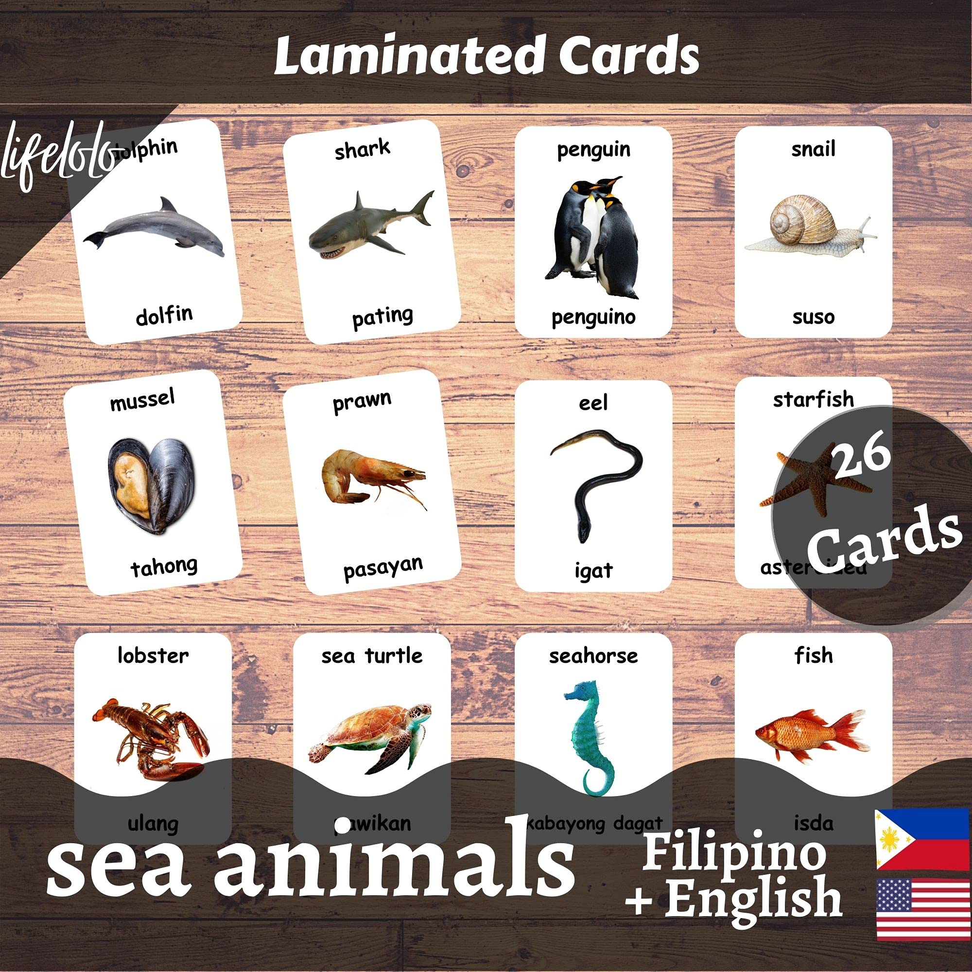 Sea Animals Flash Cards - 26 Laminated Ocean & Water Animal Flashcards for Homeschooling | Bilingual English & Filipino Educational Cards | Perfect for Preschool Learning & Marine Life Education