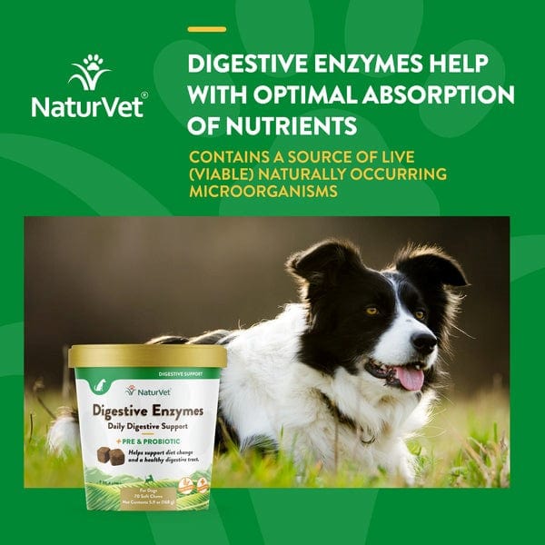 NaturVet Digestive Enzymes Plus Prebiotics & Probiotics Soft Chews for Dogs - Supports Healthy Digestion & Gut Health - Perfect for Sensitive Stomachs & Digestive Issues