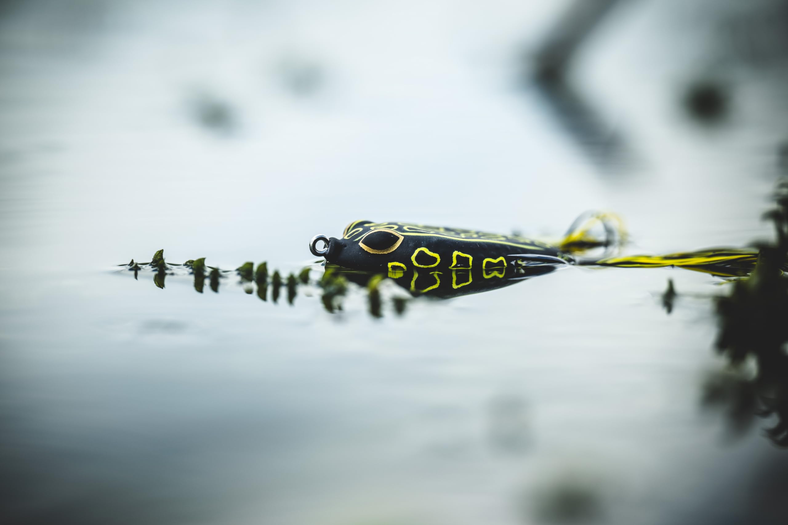 Swamp Lord Popping Hollow Body Frog Lure - Topwater Bass Fishing Bait for Weedless Frog Fishing in Lakes & Ponds - Perfect for Heavy Cover and Lily Pads