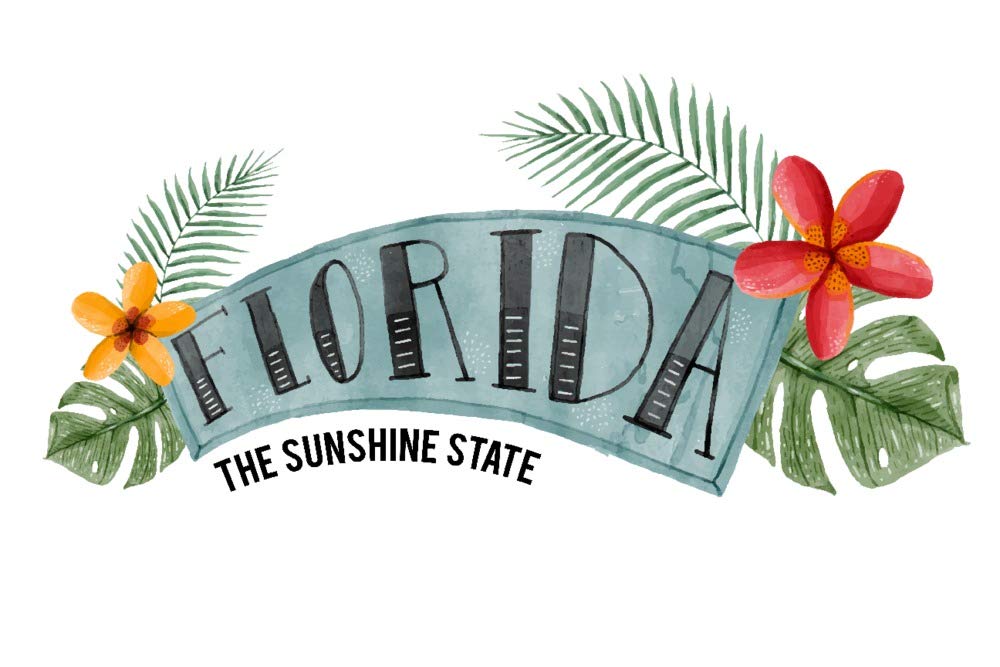 Florida The Sunshine State Name Badge - 16x24 Gallery Quality Metal Wall Art, Aluminum Home Decor for Office, Living Room & Gifts