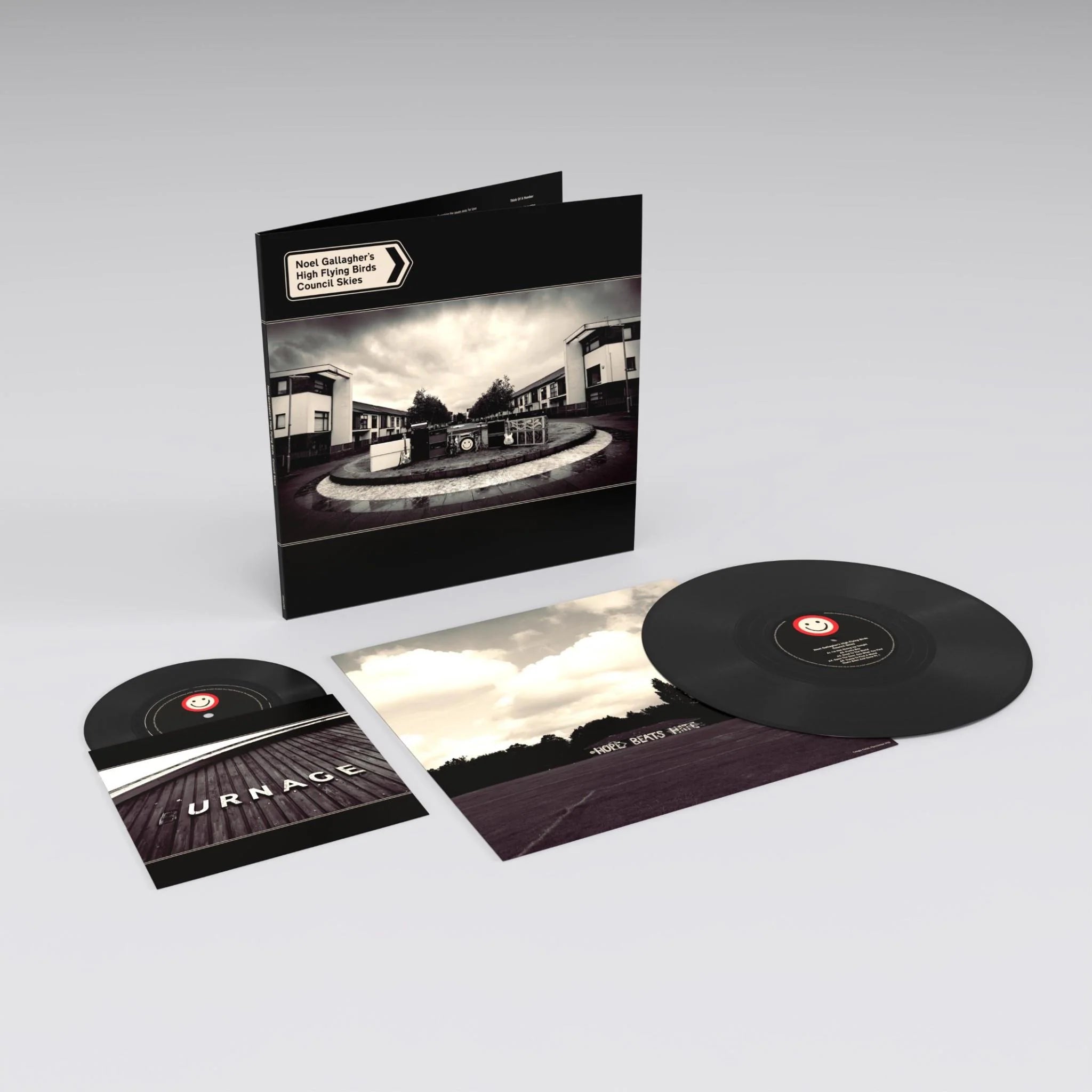 Noel Gallagher's High Flying Birds - Council Skies Double Vinyl LP Record | Limited Edition Collector's Item | Perfect for Music Enthusiasts & Vinyl Collectors | Great for Home Listening, Gifts & Music Collections