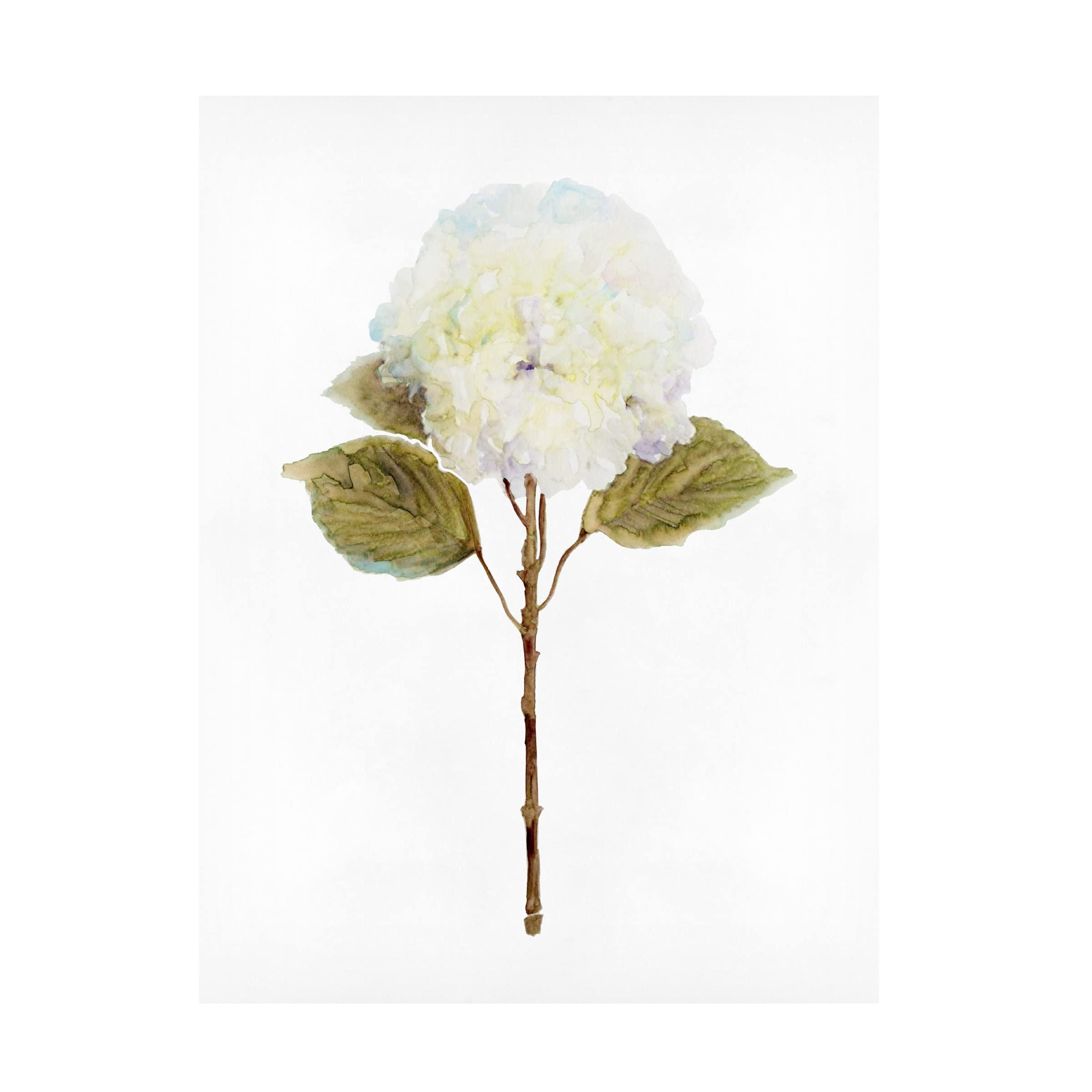Stellar Design Studio 'White Blossom III' Floral Canvas Wall Art - Premium Hand-Painted Home Decor for Living Room, Bedroom & Office