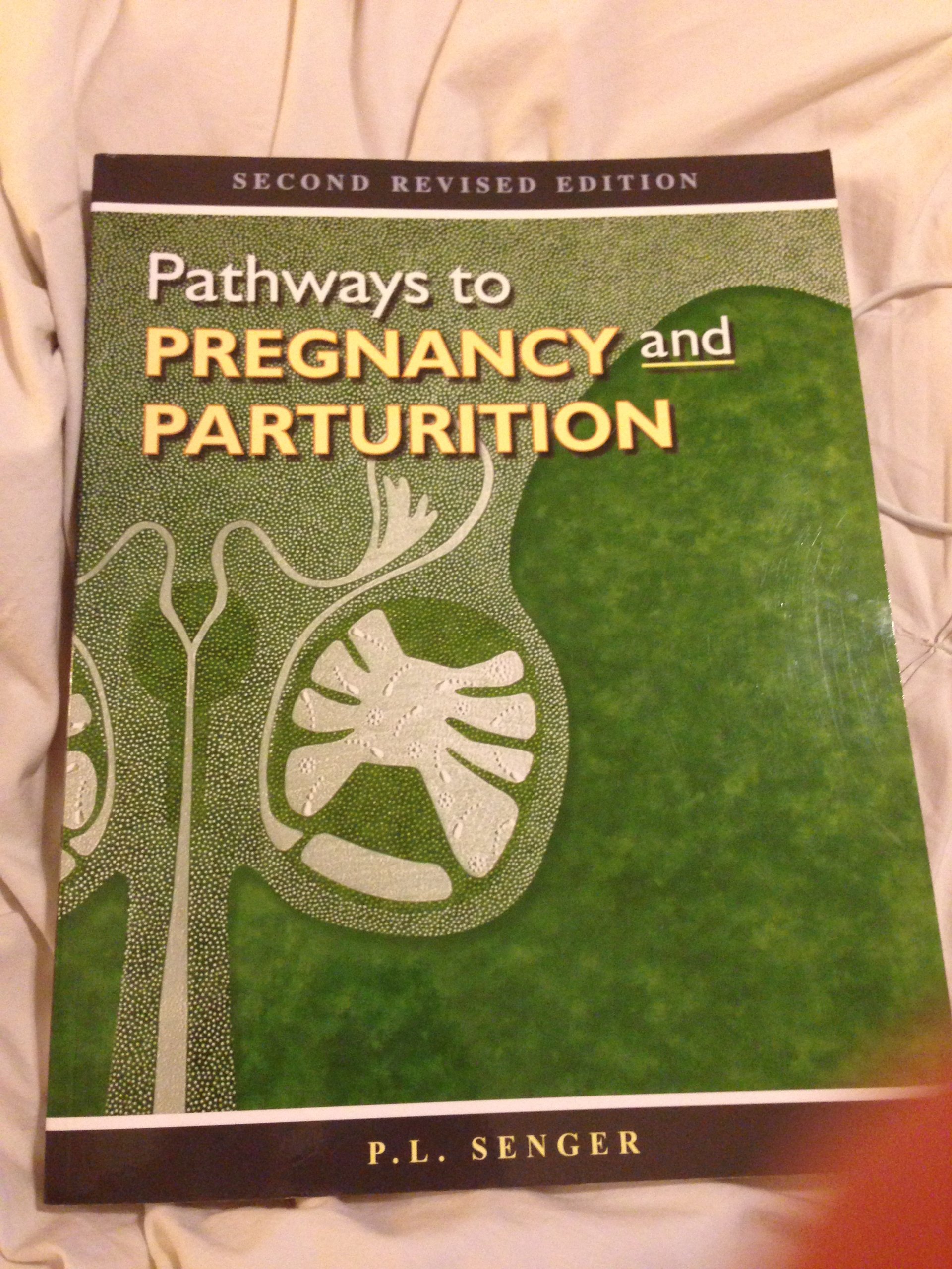 Pathways to Pregnancy and Parturition - Fertility Guide for Expecting Mothers | Pregnancy Journey & Childbirth Preparation | Perfect for Couples Trying to Conceive and First-Time Parents