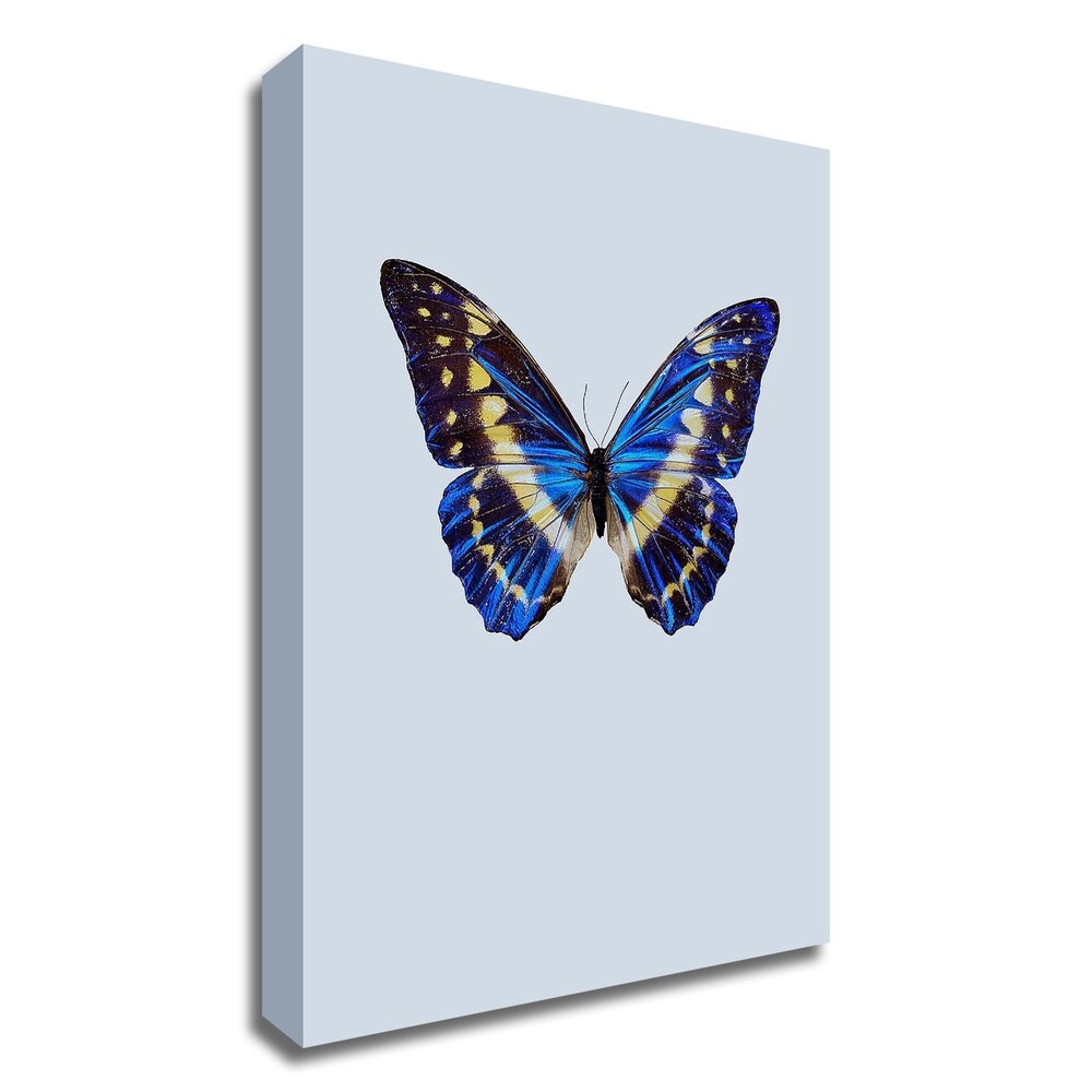 Blue Butterfly Wall Art by Incado - Stunning Canvas Print Ready to Hang - Perfect for Living Room, Bedroom & Office Decor