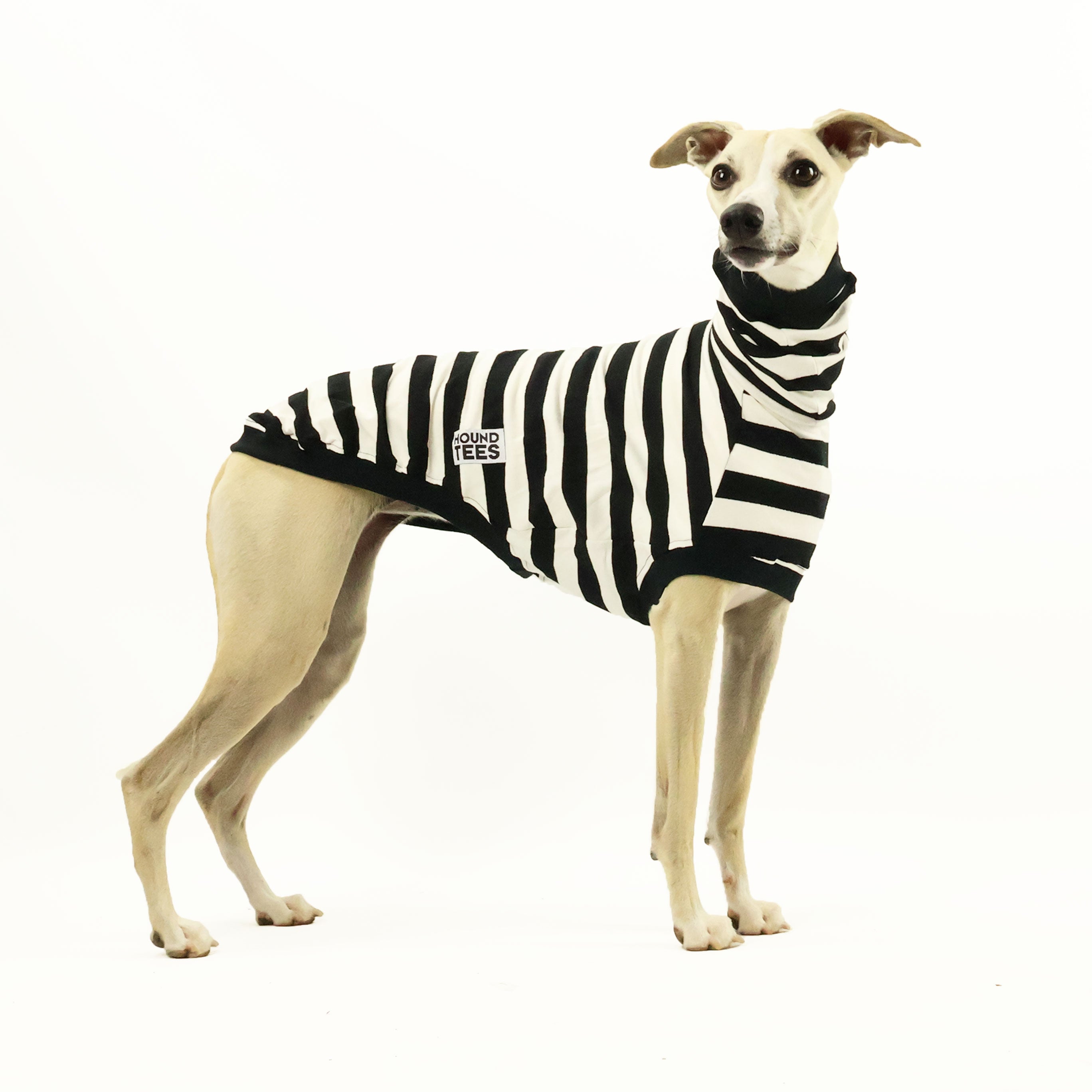 Jailbreak Whippet Sleeveless Hound Graphic T-Shirt - Trendy Dog Lover Apparel for Casual Wear & Outdoor Activities