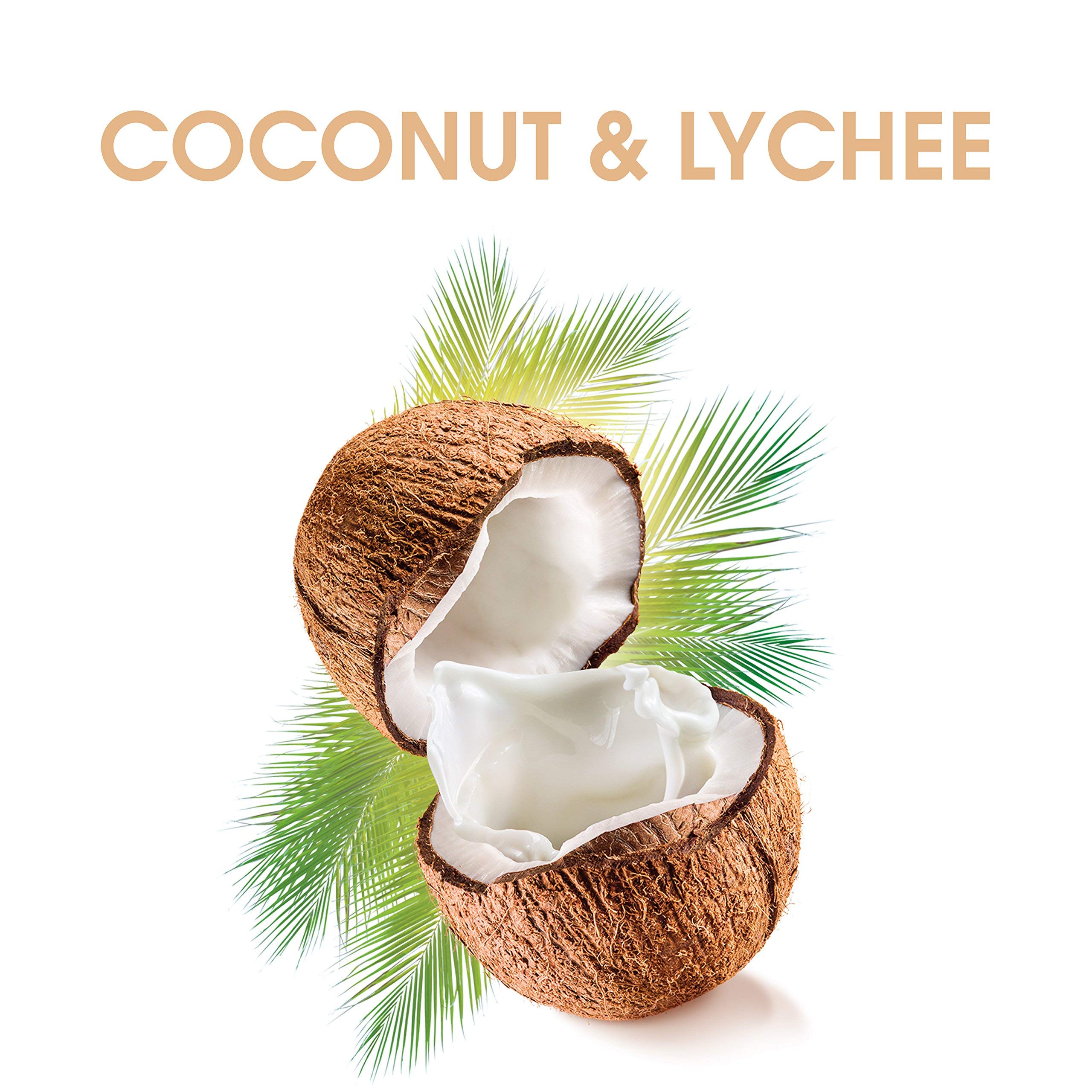 Alberto Balsam Coconut & Lychee Conditioner 350ml - Hydrating Hair Care for Dry & Damaged Hair - Perfect for Daily Use & Salon-Quality Results at Home