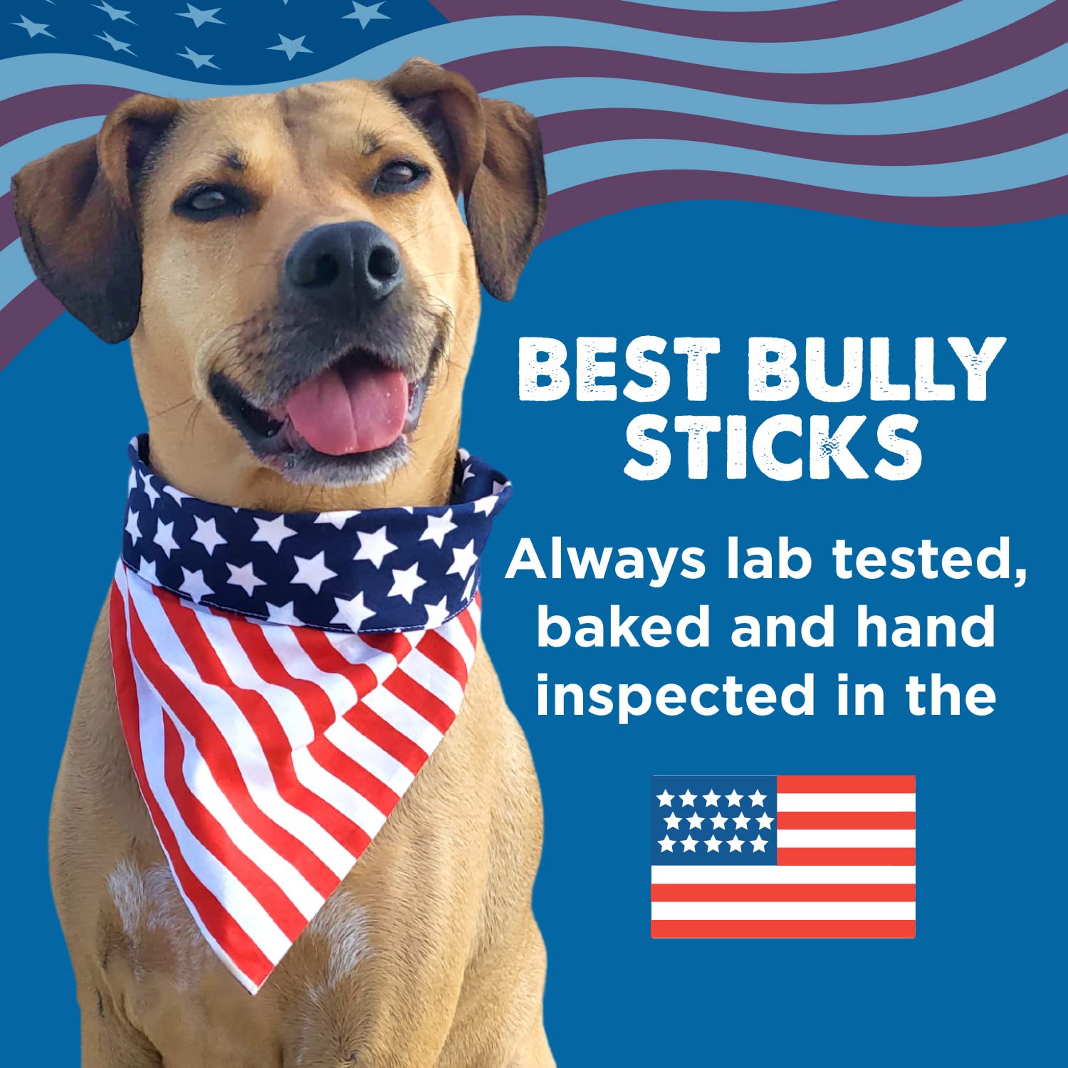 Premium Bully Sticks Marrow Bones for Dogs - 8 Pack of All-Natural Grass-Fed Beef Chews | Long-Lasting Dental Treats for Large Breed Dogs | USA Made Healthy Dog Snacks | Perfect for Training Rewards & Anxiety Relief