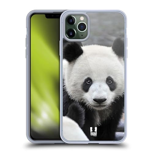 Close-Up Panda