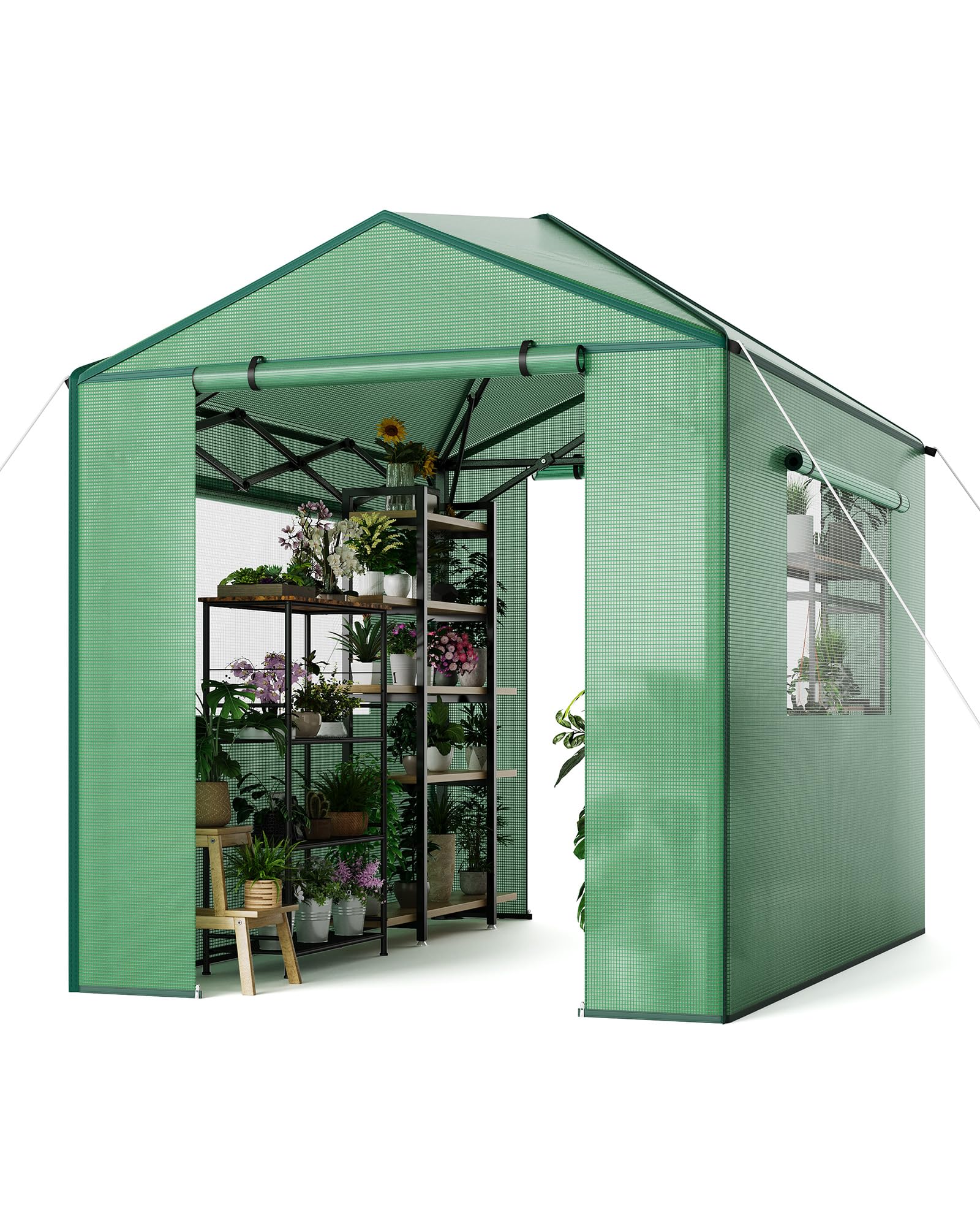 8x6 FT Pop Up Greenhouse - Portable Walk-in Indoor & Outdoor Greenhouse for Garden, Patio, Backyard | Zippered Doors & Window with PE Cover (96x72 inch) - Perfect for Seed Starting, Plant Protection & Year-Round Gardening