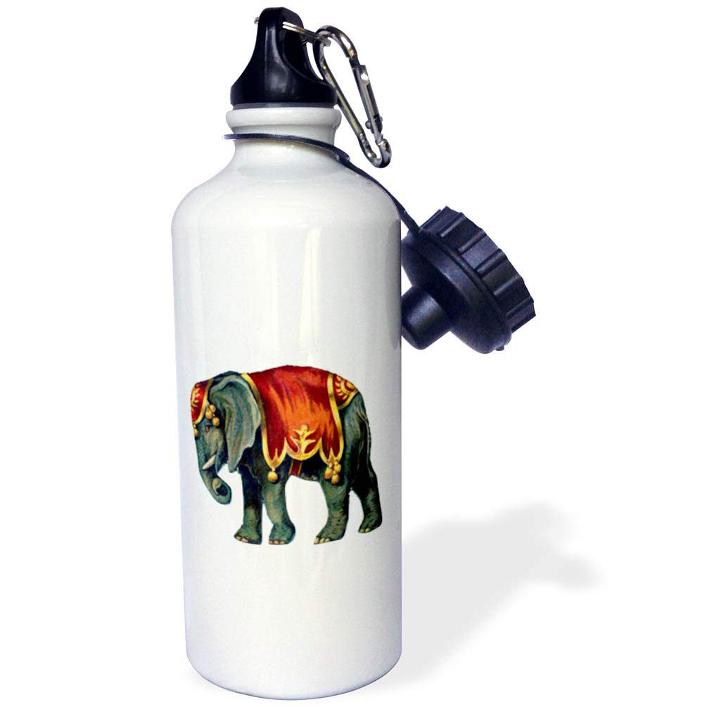 Vintage Circus Elephant Sports Water Bottle - 21oz Insulated Stainless Steel Water Bottle with Lid - Perfect for Gym, Hiking & Outdoor Activities - White
