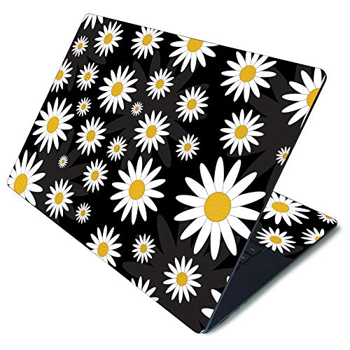 Daisies