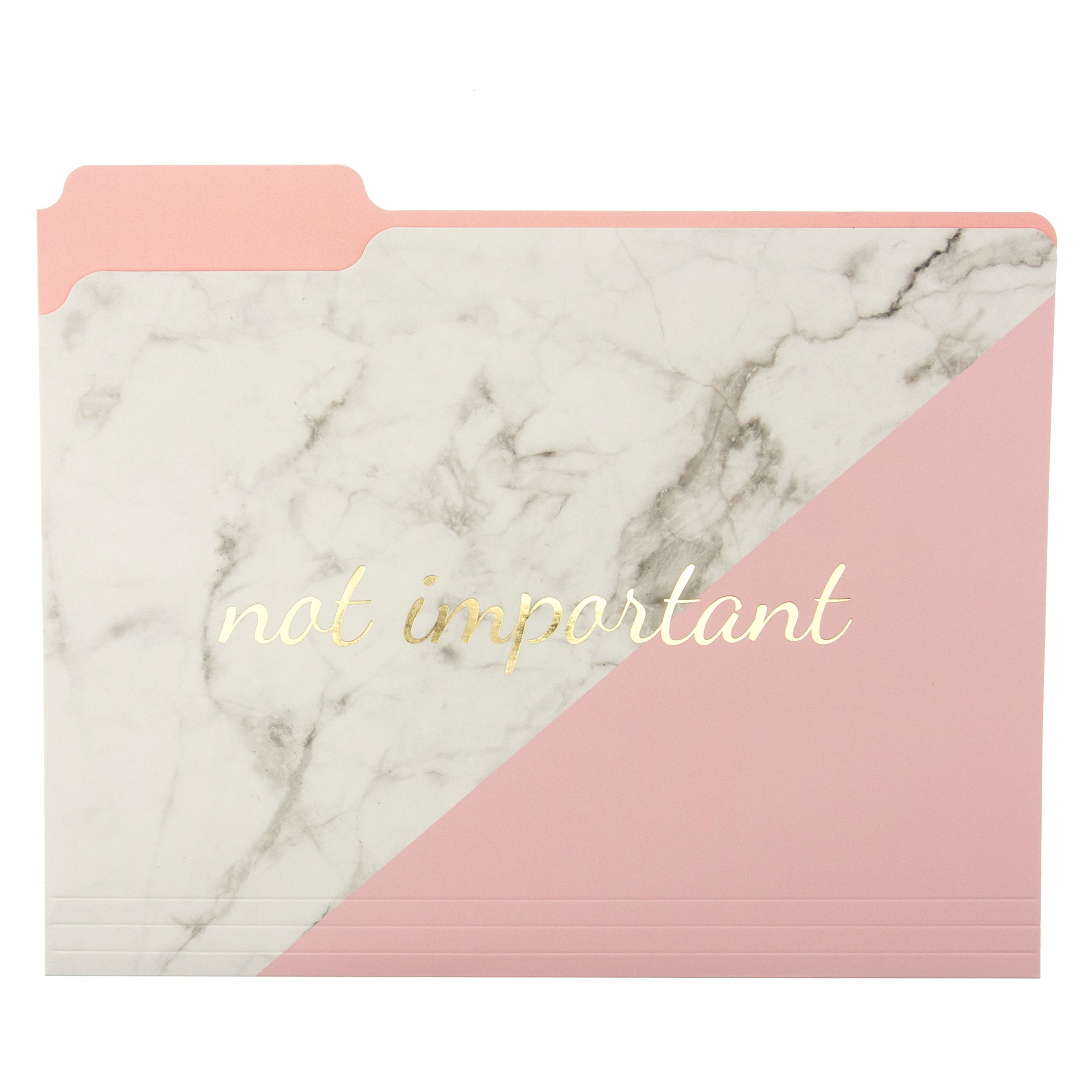 Elegant Blush Marble File Folder Set - 9 Folders with 3 Unique 