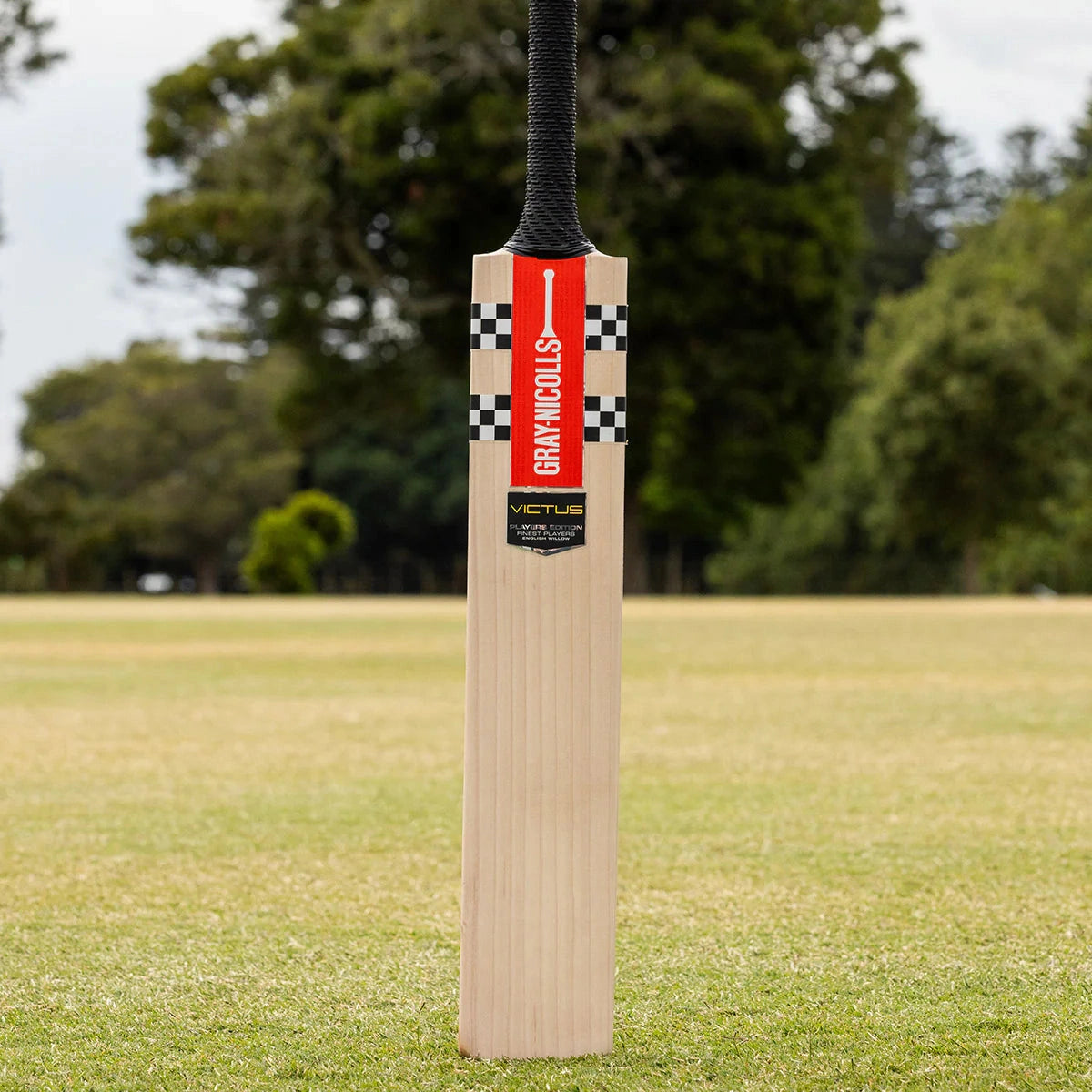 Gray Nicolls Victus Players Edition Adult Cricket Bat - Premium English Willow for Professional & Amateur Players - Perfect for Matches, Training & Practice Sessions