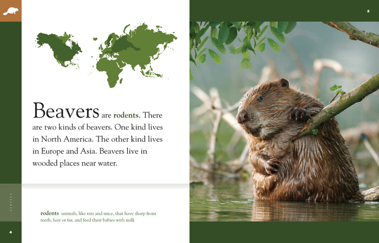 Amazing Animals (2014): Beavers - Educational Wildlife Documentary for Kids | Perfect for Homeschooling & Nature Learning