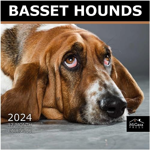 07 - Basset Hounds