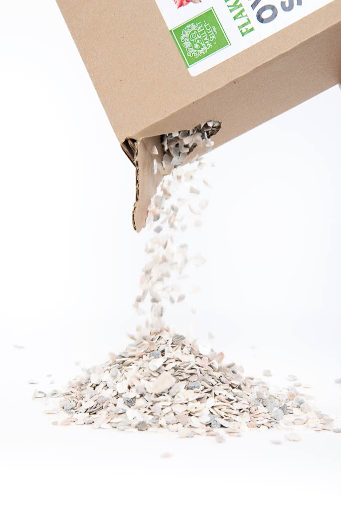 Small Pet Oyster Shell Mix - Calcium for Chickens & Ducks (10lb) - Poultry Health Supplement