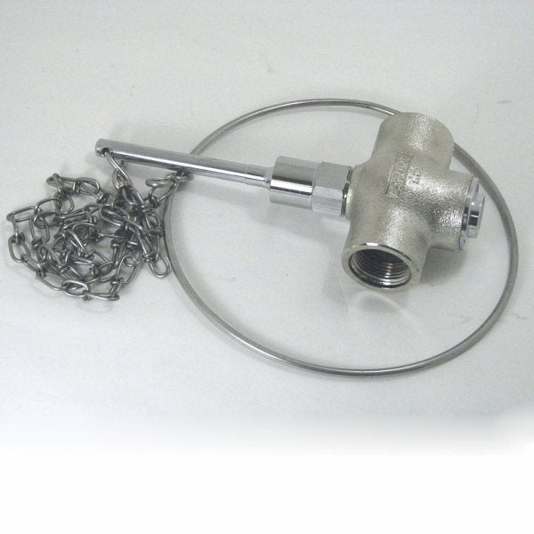 Speakman SE 901 CR Self-Closing Shower Valve - 1 Female Inlet & Outlet with Chain and Ring - Perfect for Bathroom, Gym, and Pool Showers