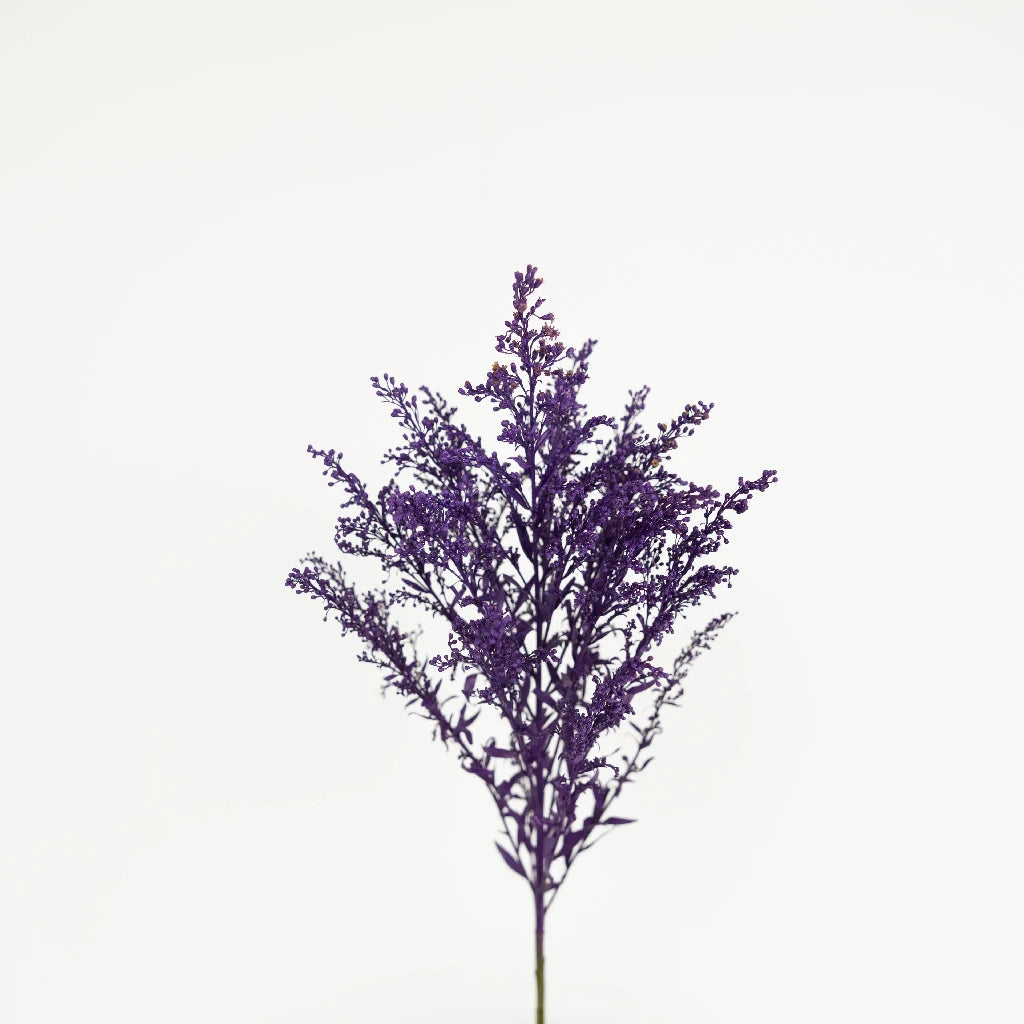 Natural Amethyst Purple Solidago Flowers for Home Decor, Wedding Bouquets & Floral Arrangements | Dried Goldenrod Flowers for DIY Crafts, Centerpieces & Gifts
