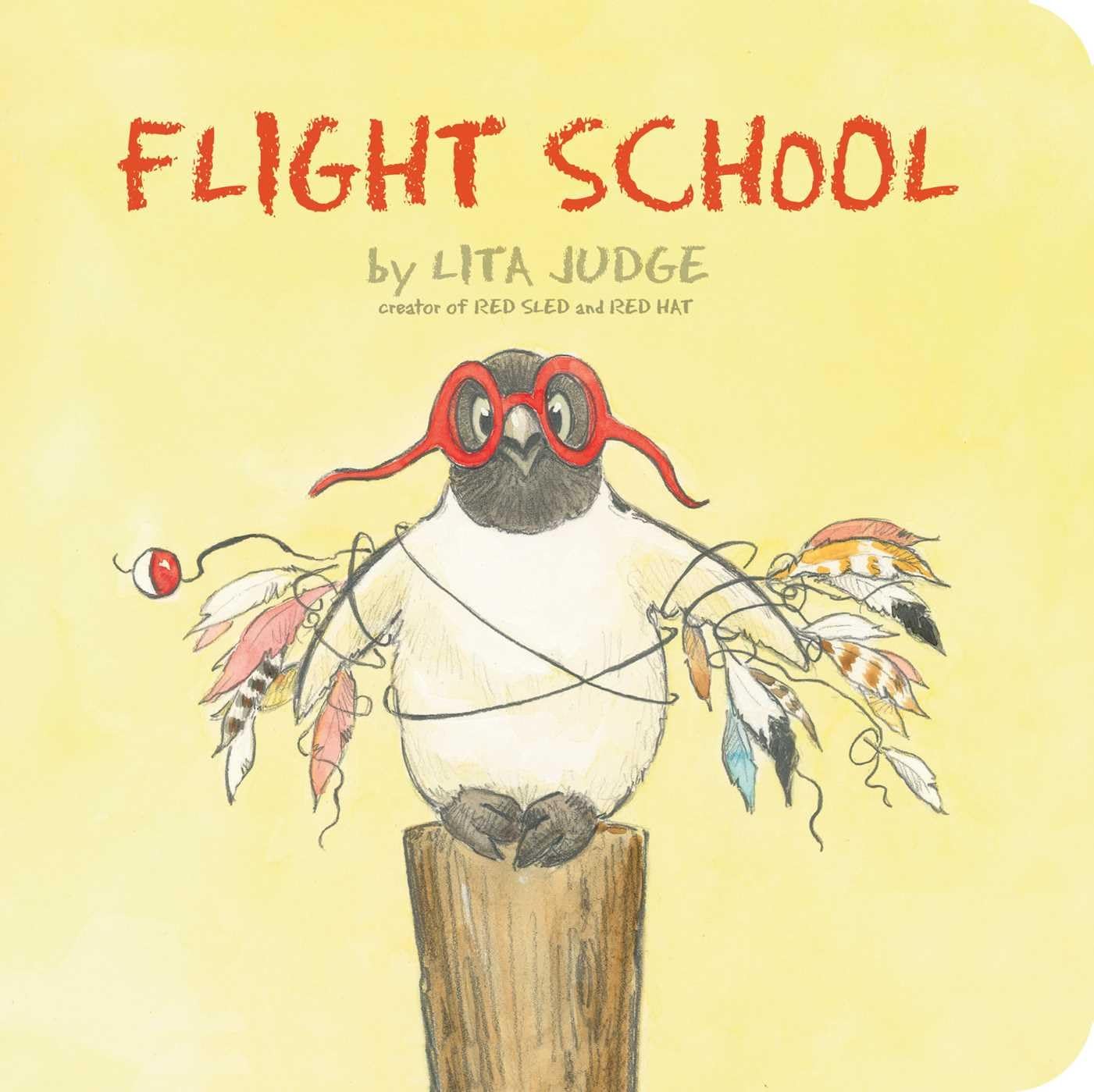 Flight School - Professional Pilot Training & Aviation Courses Online | Learn to Fly for Career & Recreation
