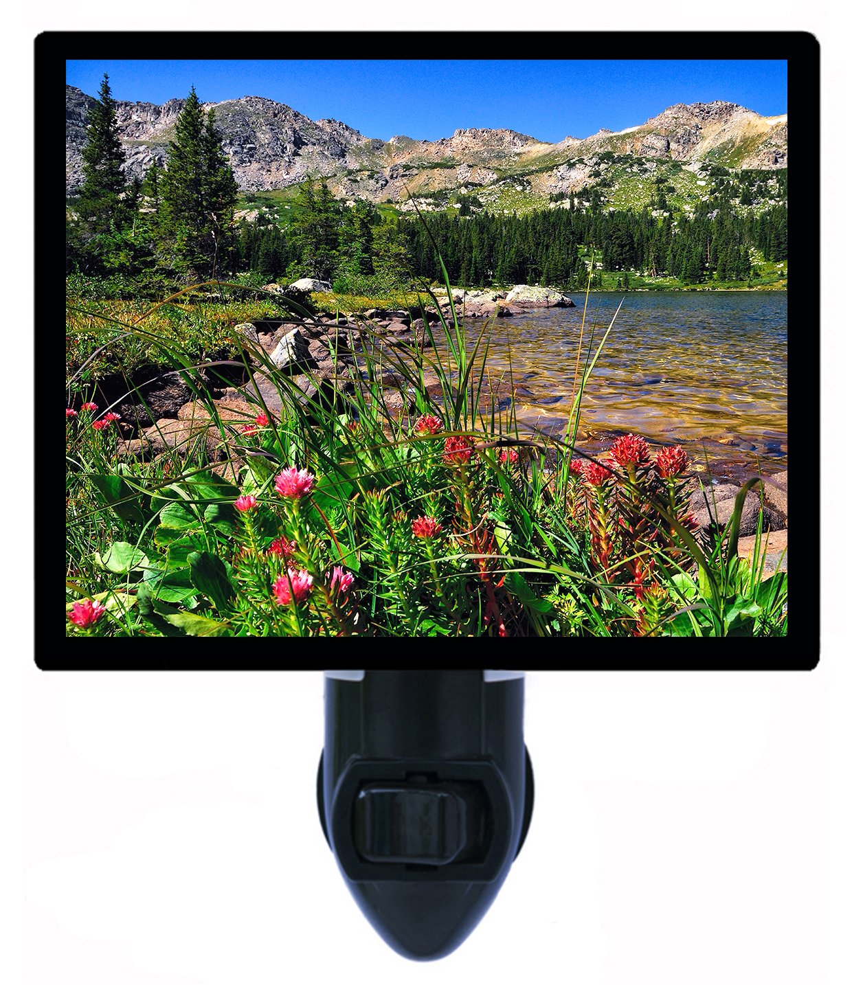 Colorado Wildflowers Night Light - Mountain Lake Summer Landscape LED Lamp for Bedroom, Nursery, Kids Room & Home Decor
