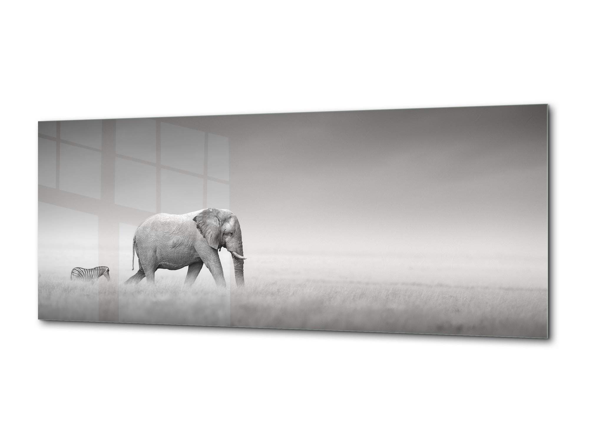Concept Crystal Glass Printed Picture - Animals Series 02 | Elegant Home Decor, Unique Gift Idea for Animal Lovers, Perfect for Living Room, Bedroom, or Office Display