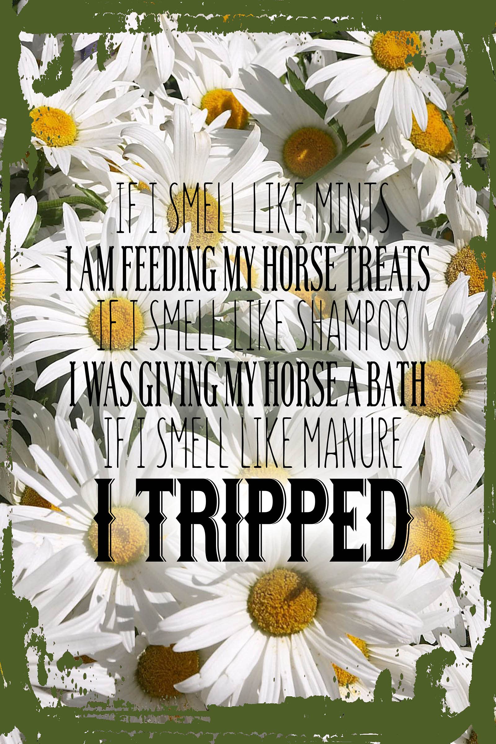 Funny Horse Rider Wall Art - Daisy Flower & 'If I Smell Like Manure I Tripped' Sign - 8x12 Inches - Perfect for Equestrian Home Decor, Barn, or Stable - Unique Gift for Horse Lovers