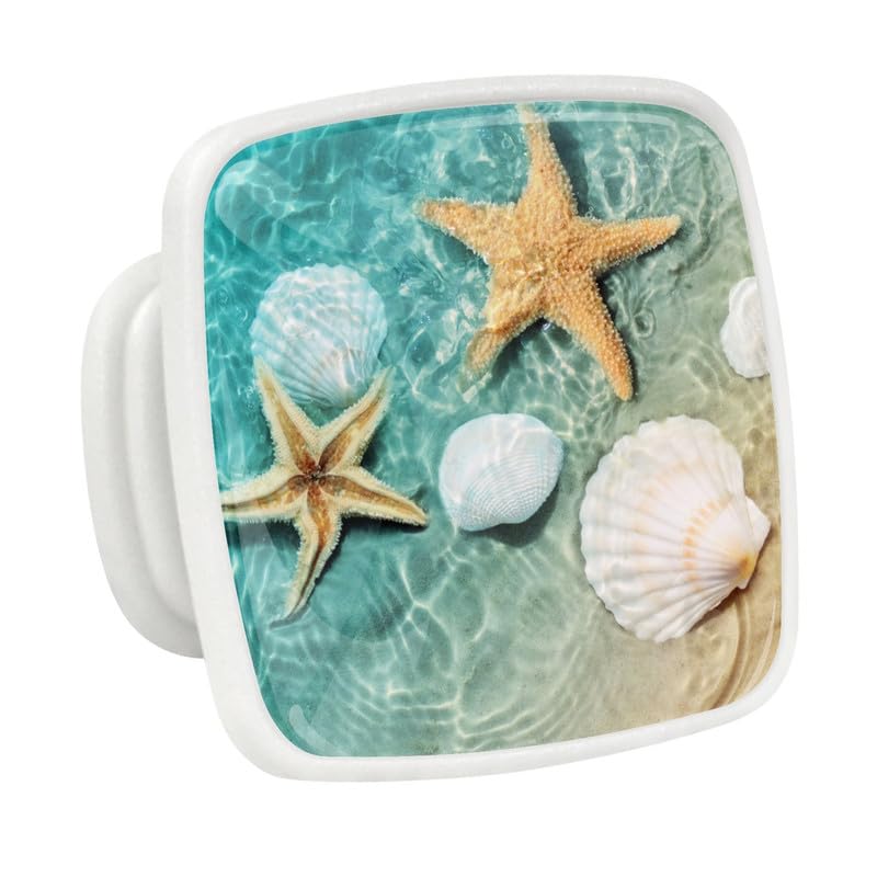 Starfish Beach Shells
