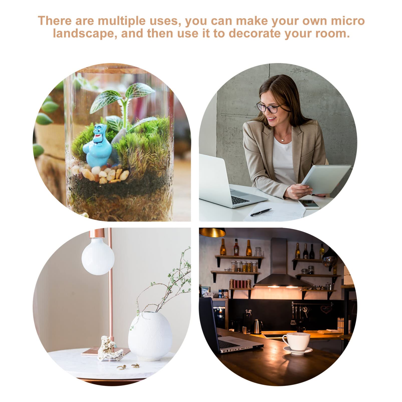 Mipcase LED Glass Terrarium Planter - Tabletop Glass Bottle Jar for Houseplants, Succulents & Air Plants - Perfect for Home, Office & Indoor Garden Decor