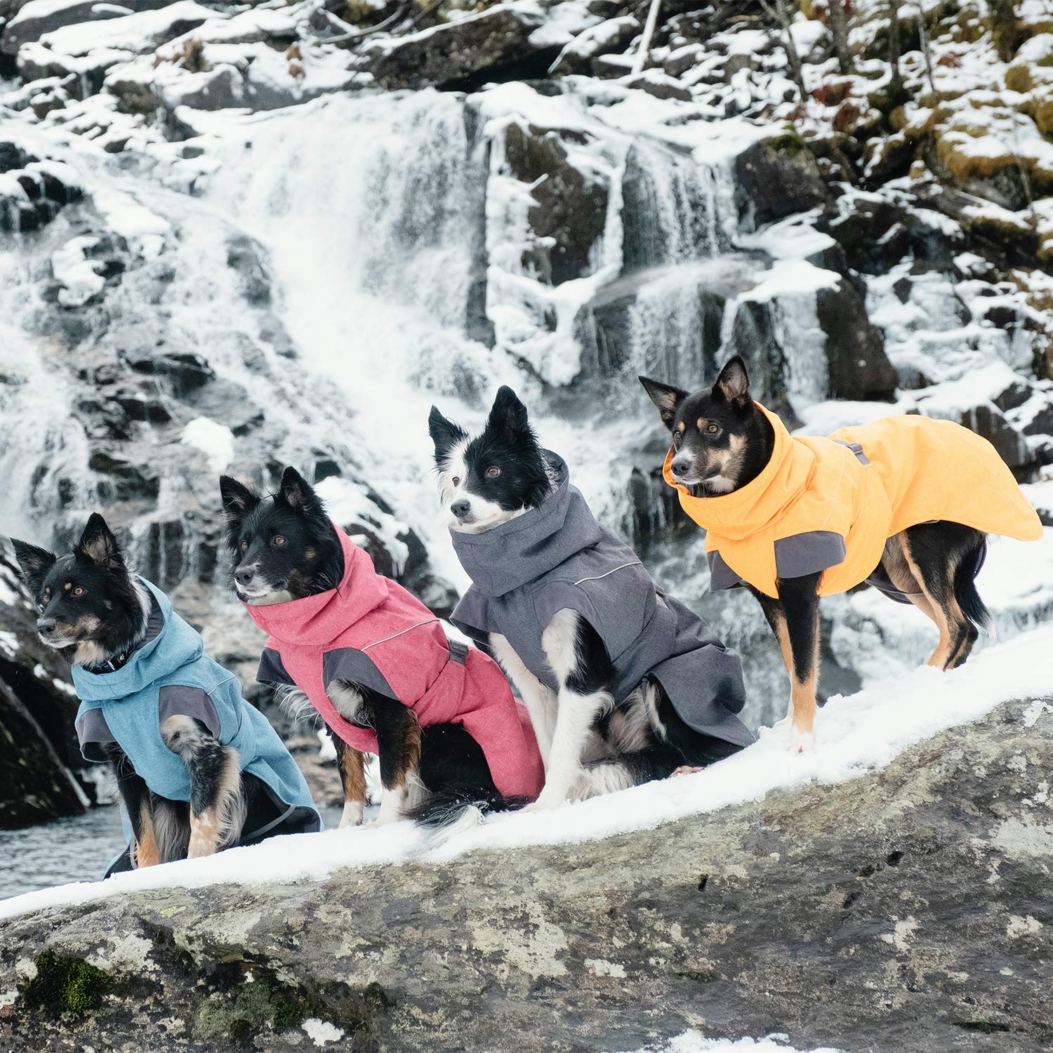 Hurtta Expedition Parka Winter Dog Coat - Waterproof & Insulated for Cold Weather, BlackBerry Size 24in - Perfect for Snowy Walks & Outdoor Adventures