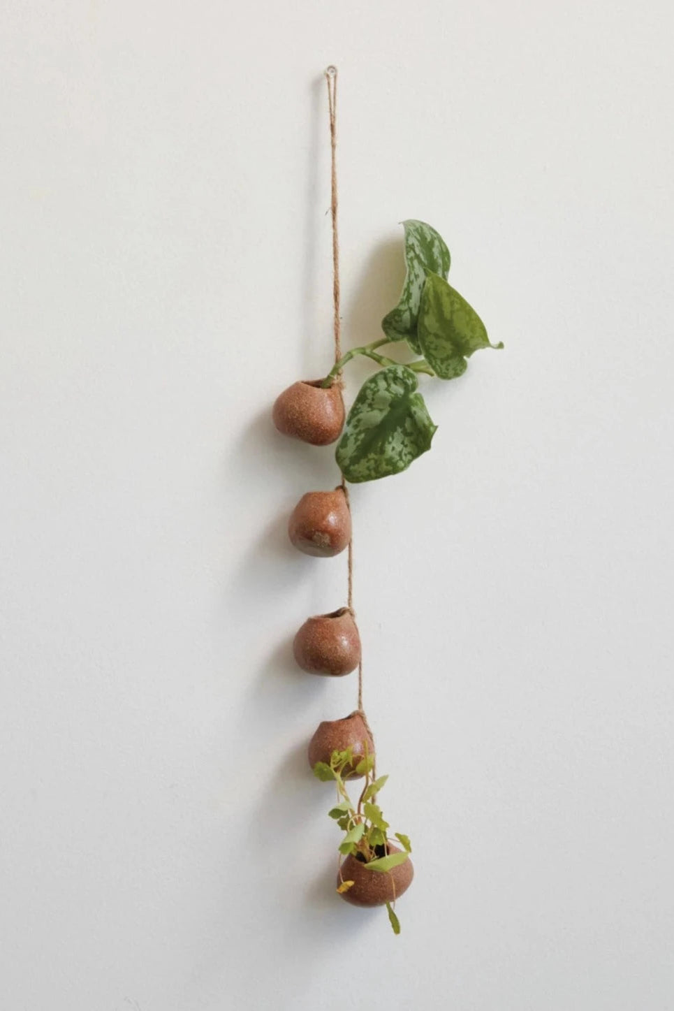 Hanging Mini Pots for Plants - Small Decorative Flower Pots with Hooks for Indoor & Outdoor Use - Perfect for Succulents, Herbs, and Small Flowers
