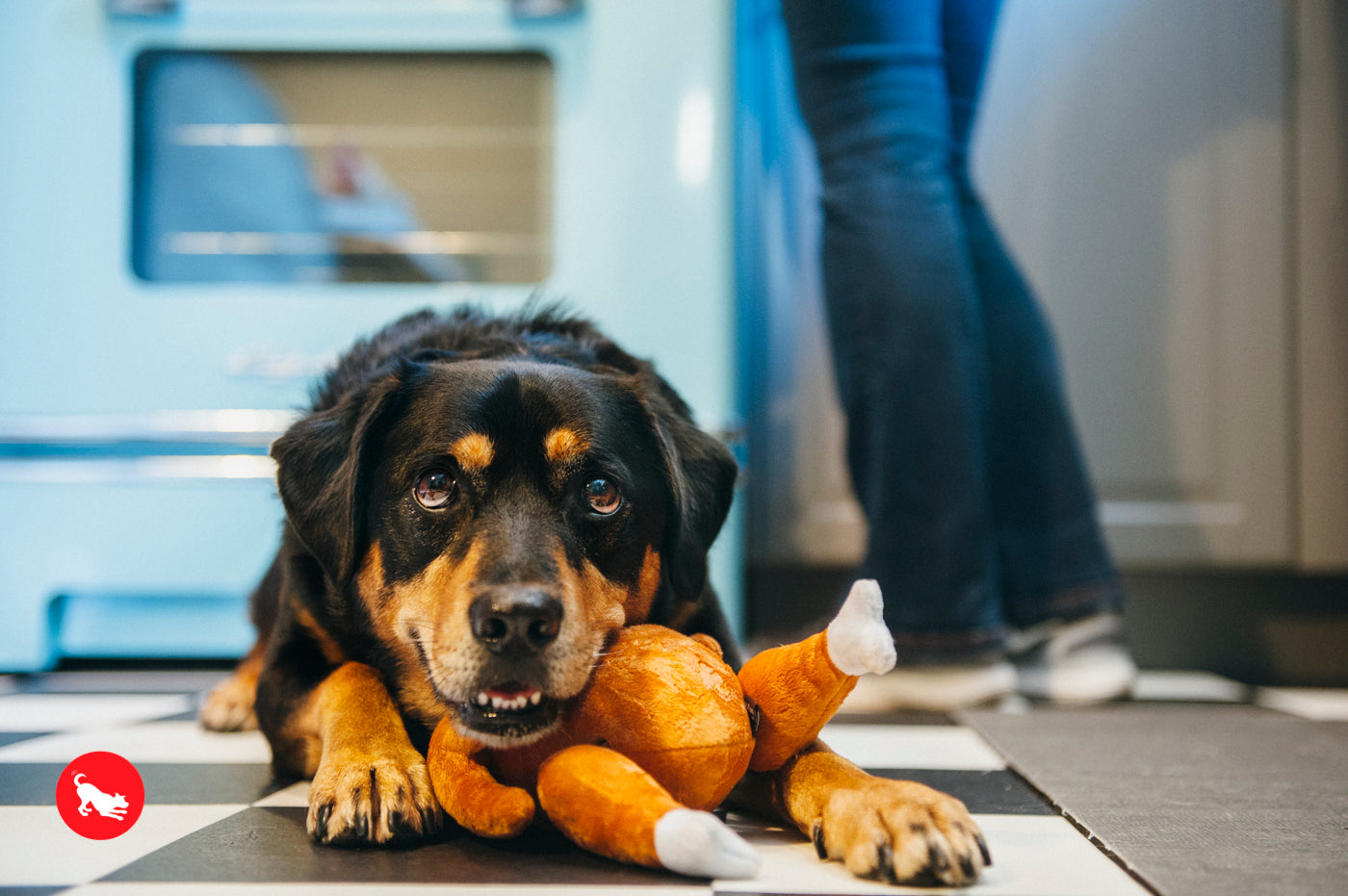 El Pavo Entero Holiday Classic™ Dog Plush Toy - Soft & Durable Chew Toy for Small & Large Dogs | Perfect for Thanksgiving, Christmas & Playtime Fun | Pet P.L.A.Y.